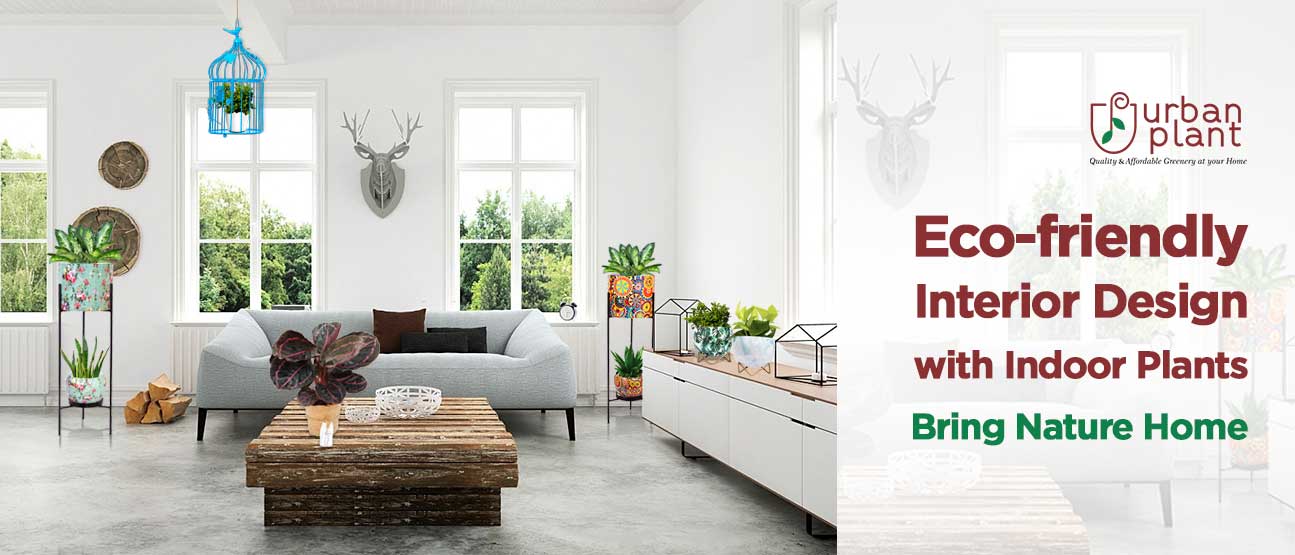 Indoor Plants and Planters for Interior Designing Ideas