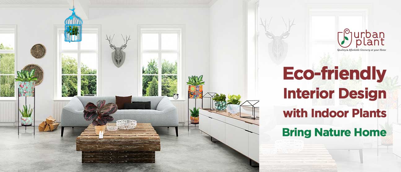 Eco-friendly Interior Design: Bring Nature Home