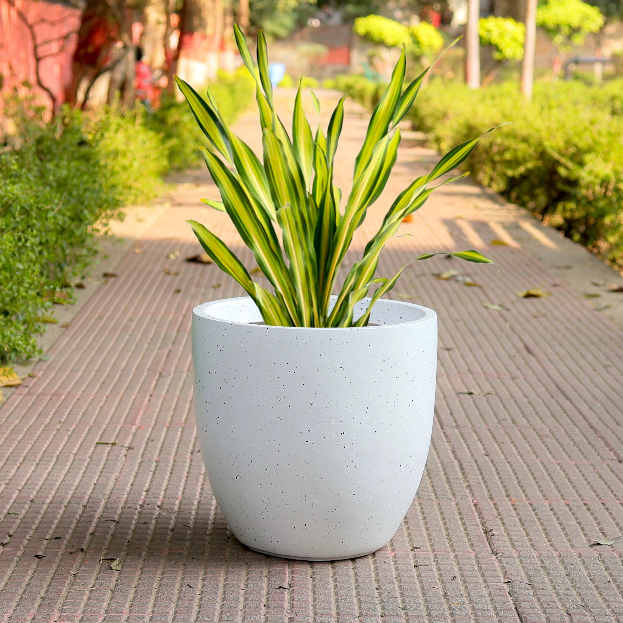 CURVA Planter – M14 (5 Years Warranty)