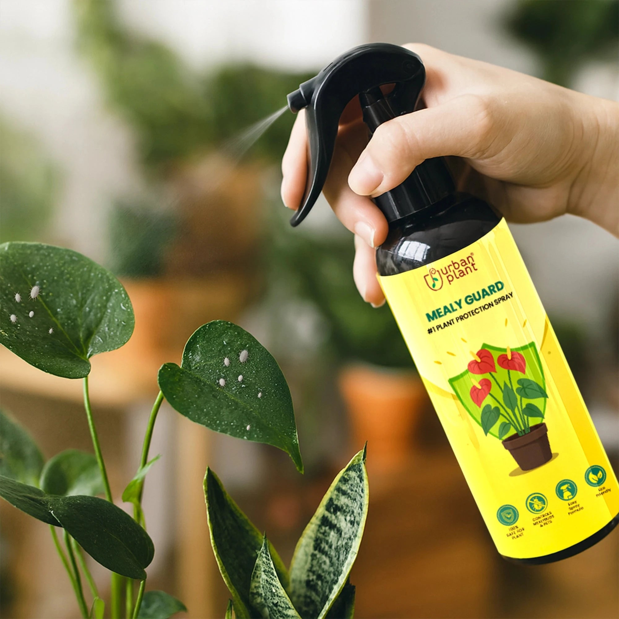 Urban Plant Mealy Guard – Natural Plant Protection Spray for Mealy Bugs & Pests Urban Plant