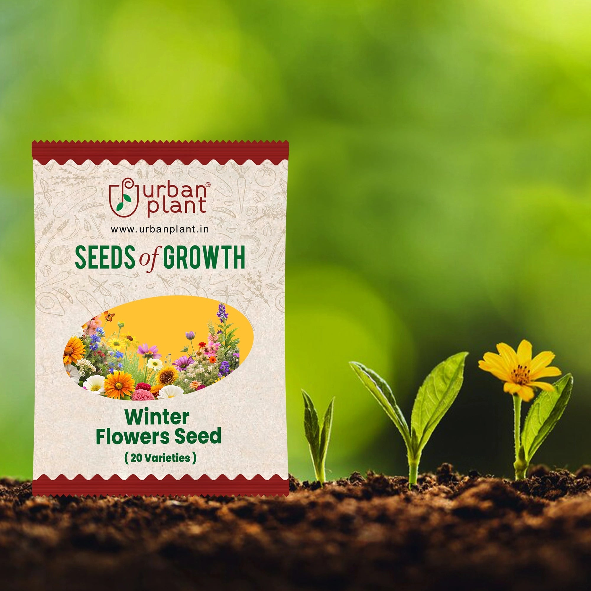 Winter Flower Seed Bank: 20+ Varieties, 2500+ Seeds Flower Seed Urban Plant