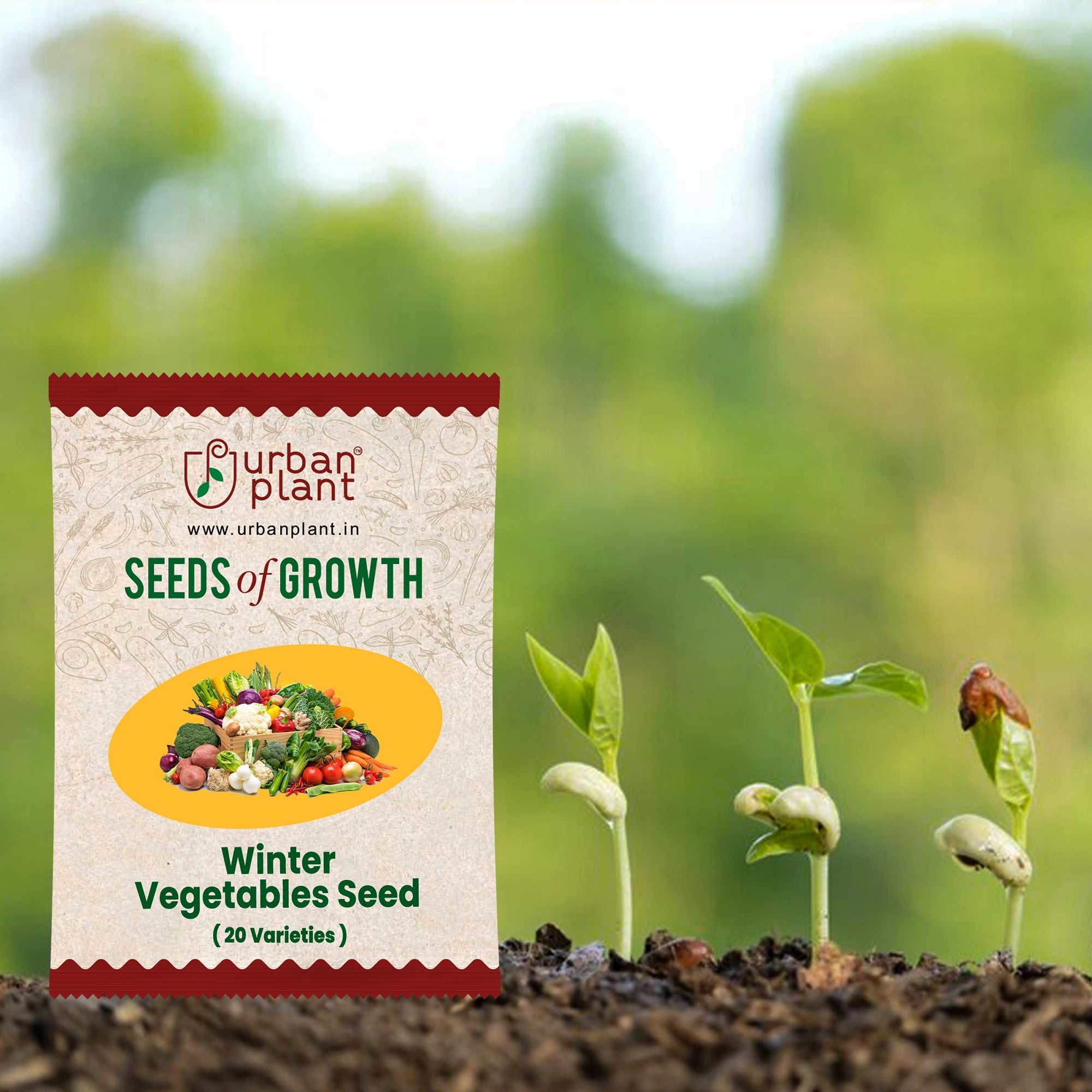 Winter Vegetable Seed Bank: 20+ Varieties, 2500+ Seeds Vegetable Seed Urban Plant