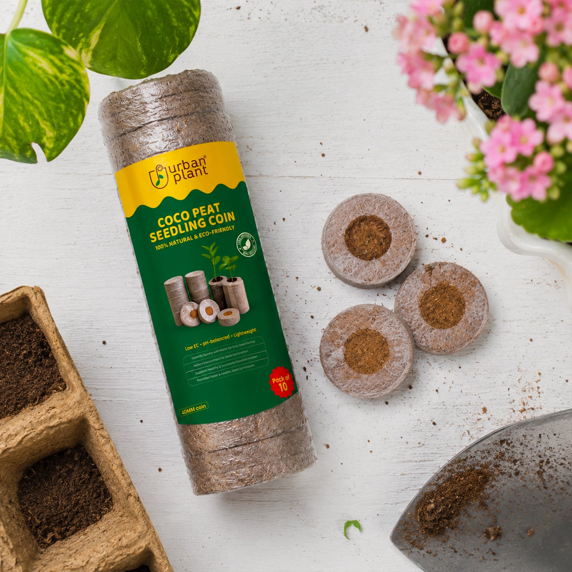 Cocopeat Seedling Coin - (with Plug)