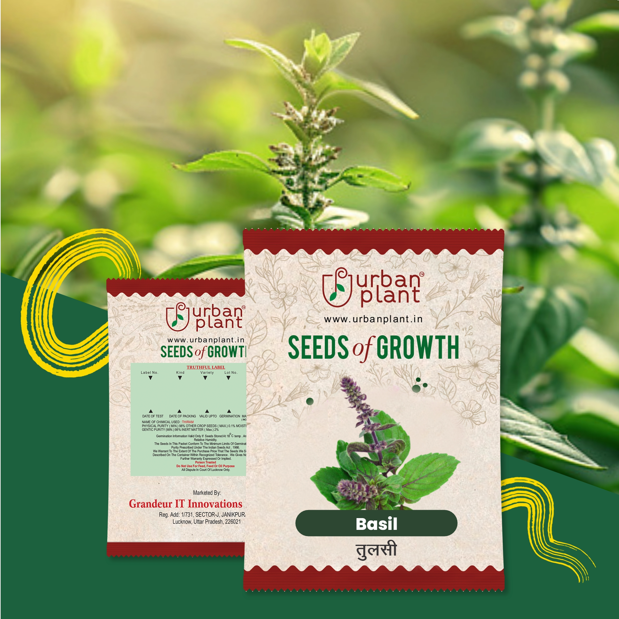 Basil Seeds Seeds Urban Plant