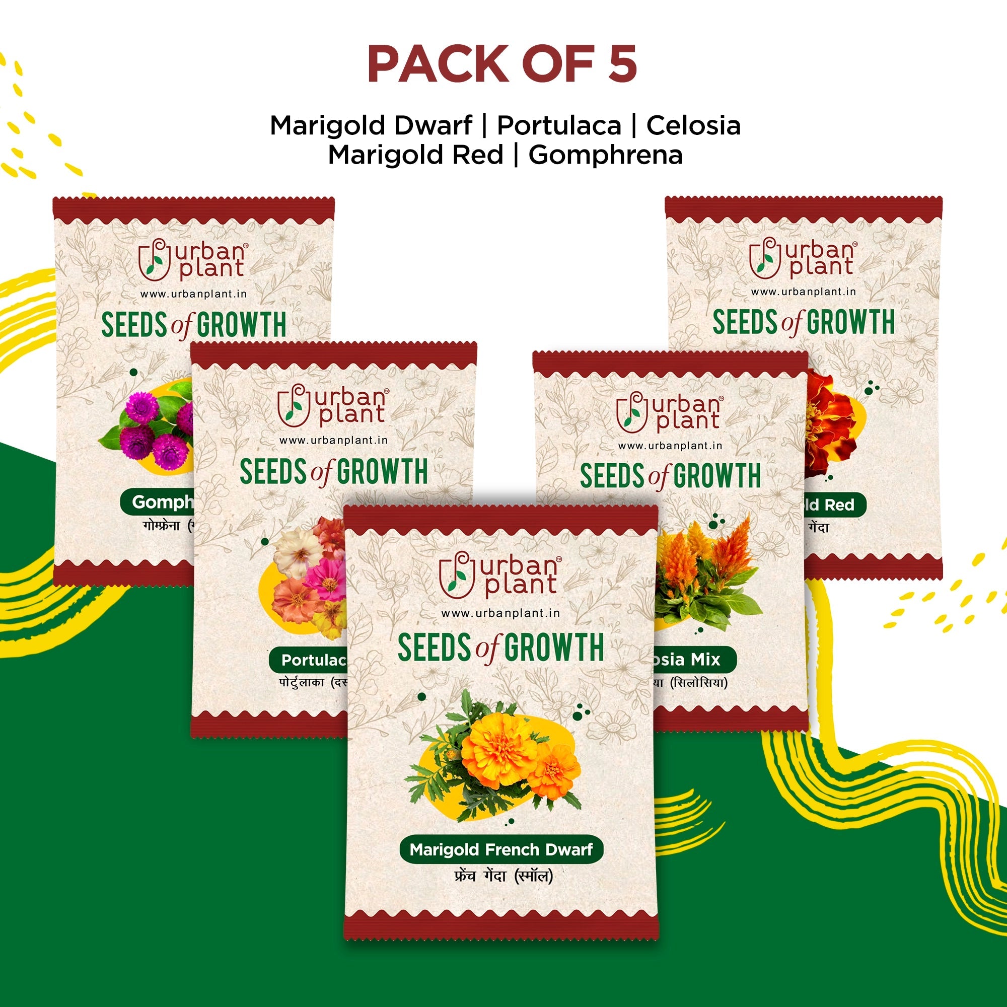 Colour Burst - Pack of 5 Flower Seeds Flower Seed Urban Plant