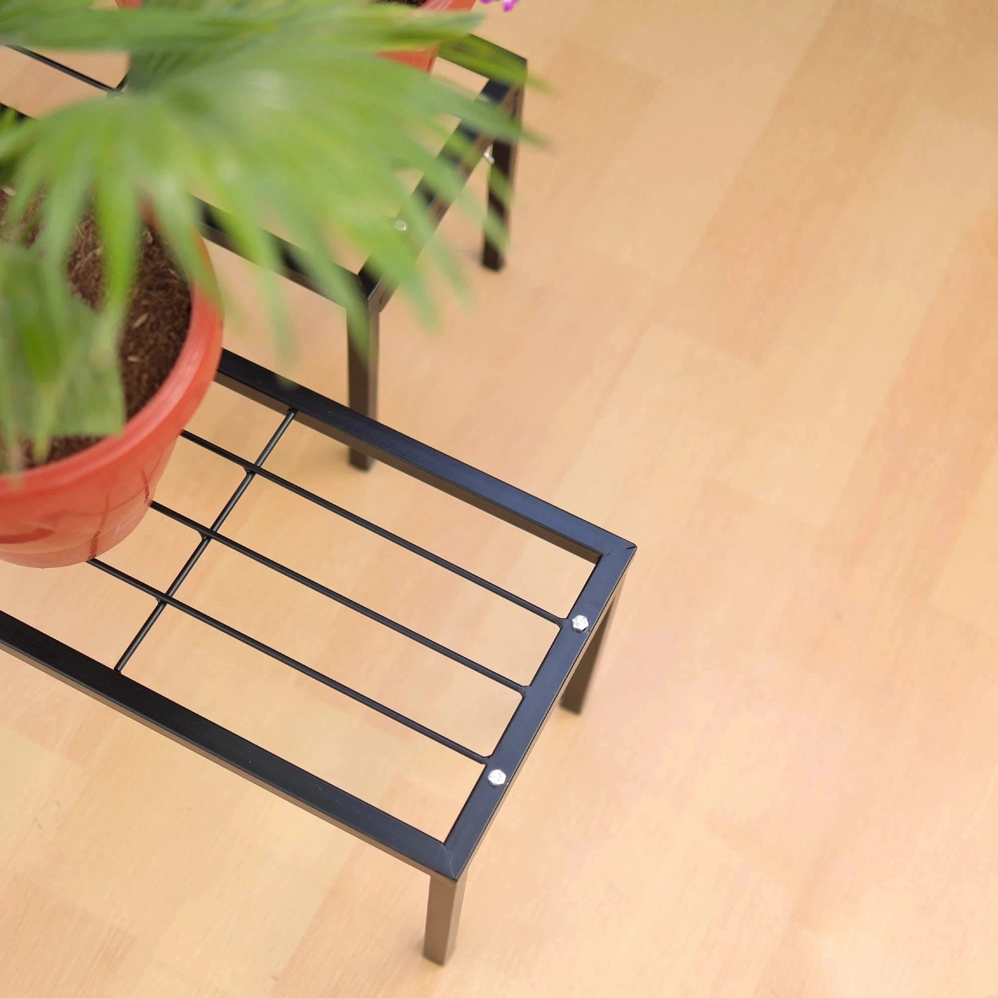 Urban Plant Apollo Metal Plant Stand for Garden (Black - Set of 1) Metal Stand Urban Plant