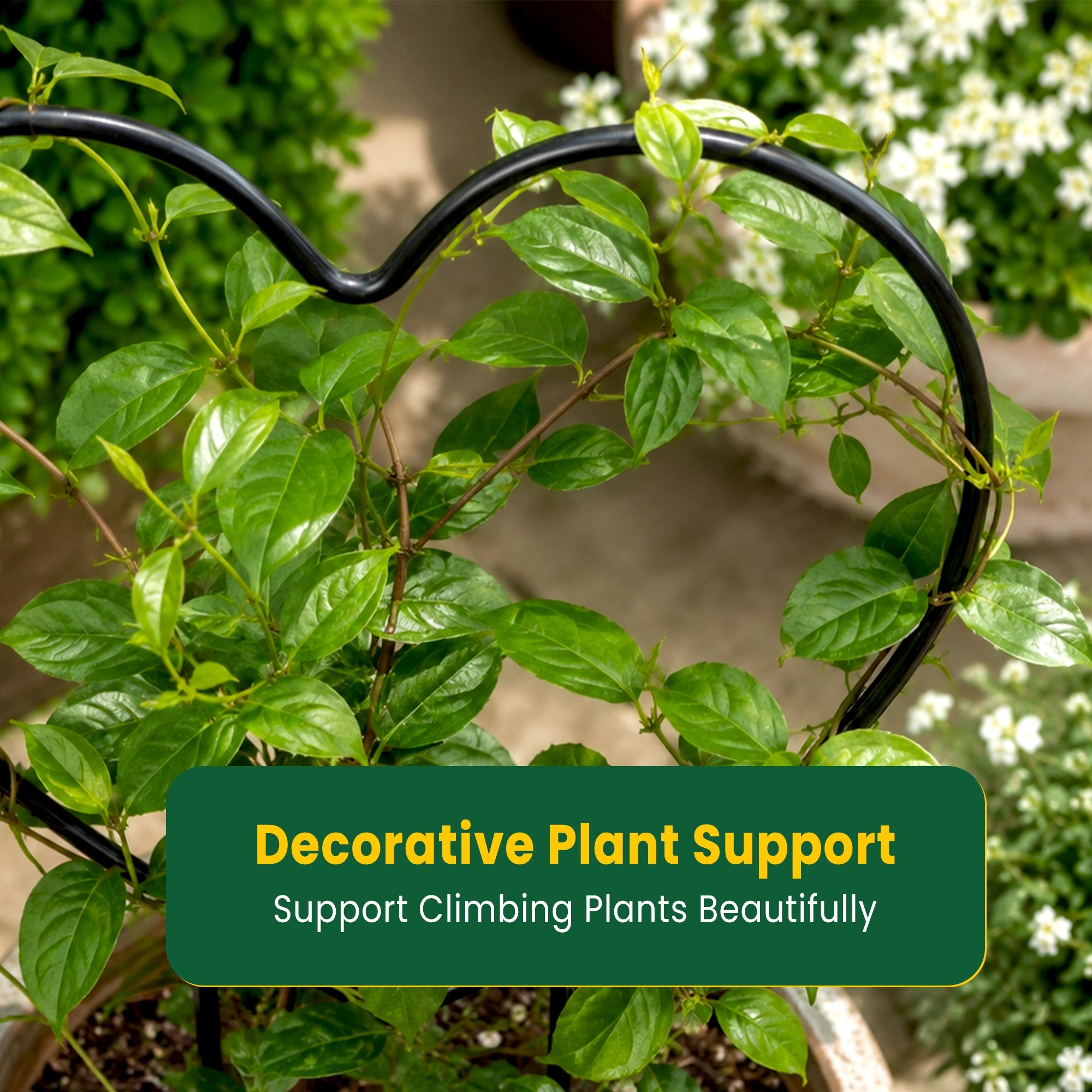 Urban Plant Heart Shaped Trellis for Climbing Plants - (Pack of 2)
