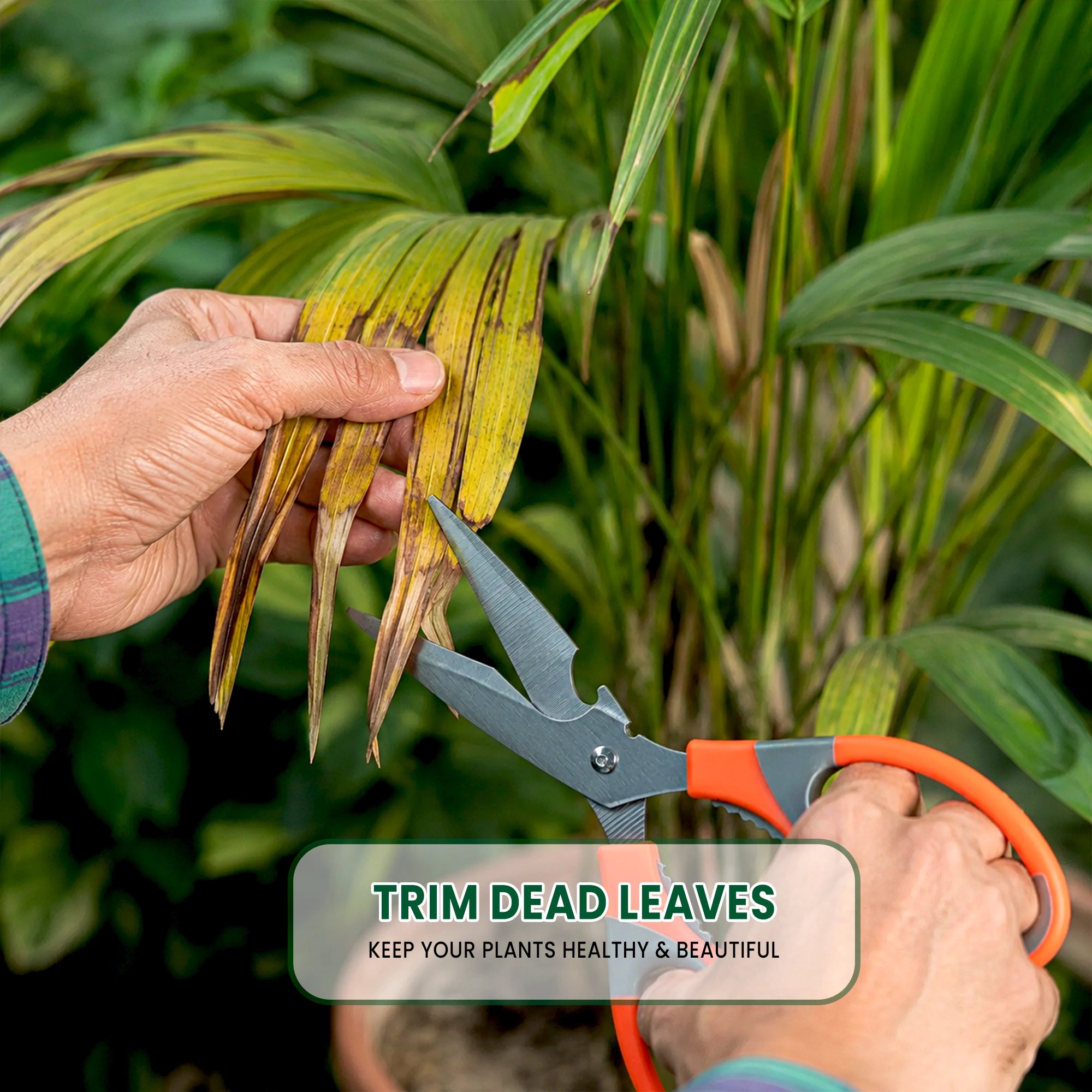 Urban Plant Gardening Scissors