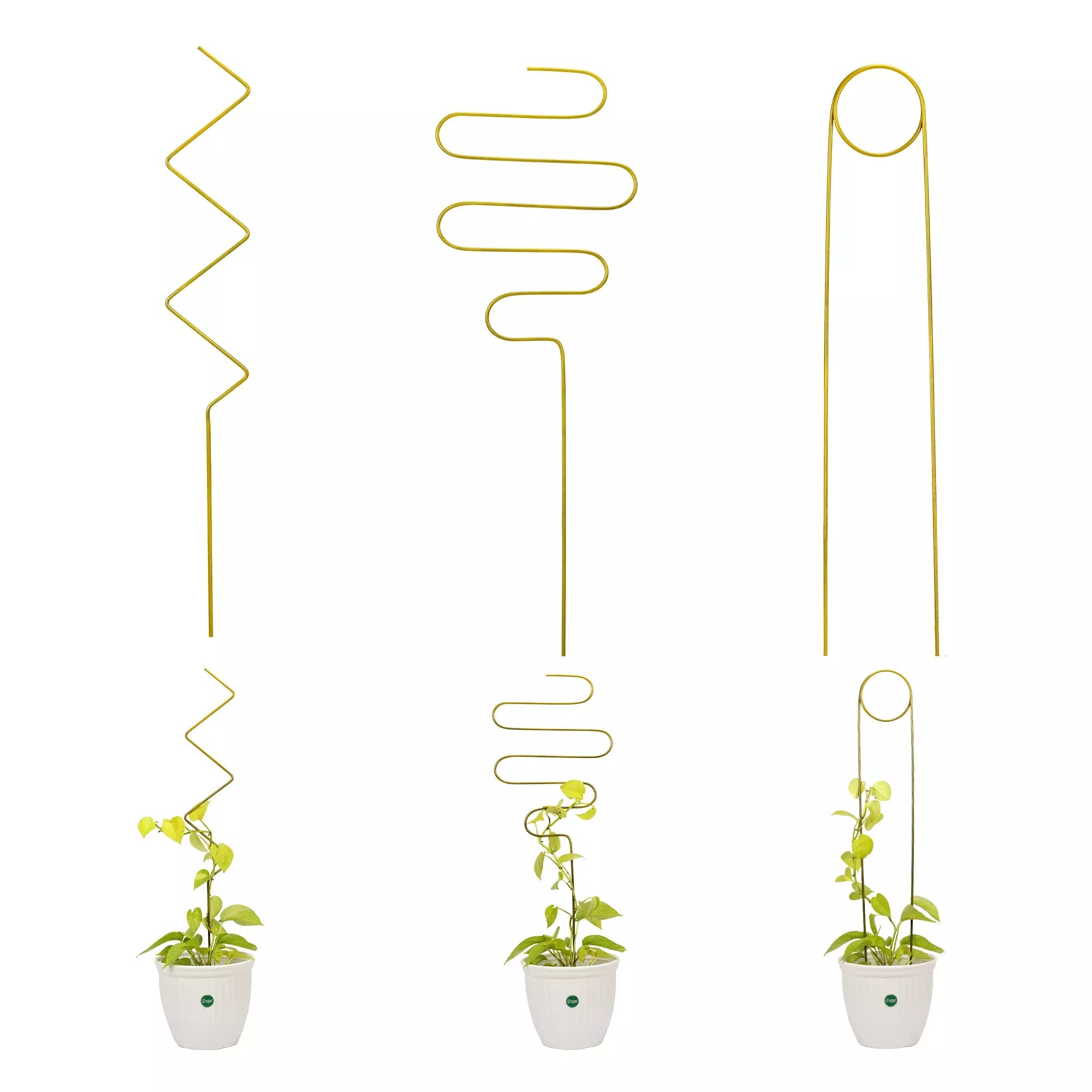 3Pcs Metal Plant Trellis for Potted Plants Urban Plant Gold Mix