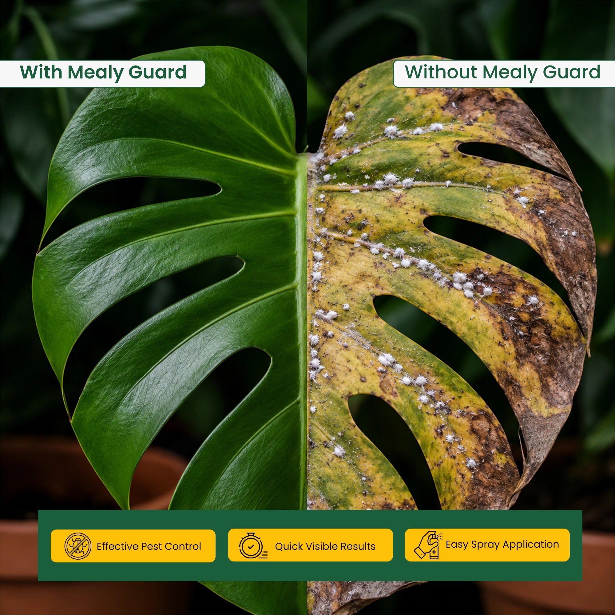 Urban Plant Mealy Guard – Natural Plant Protection Spray for Mealy Bugs & Pests