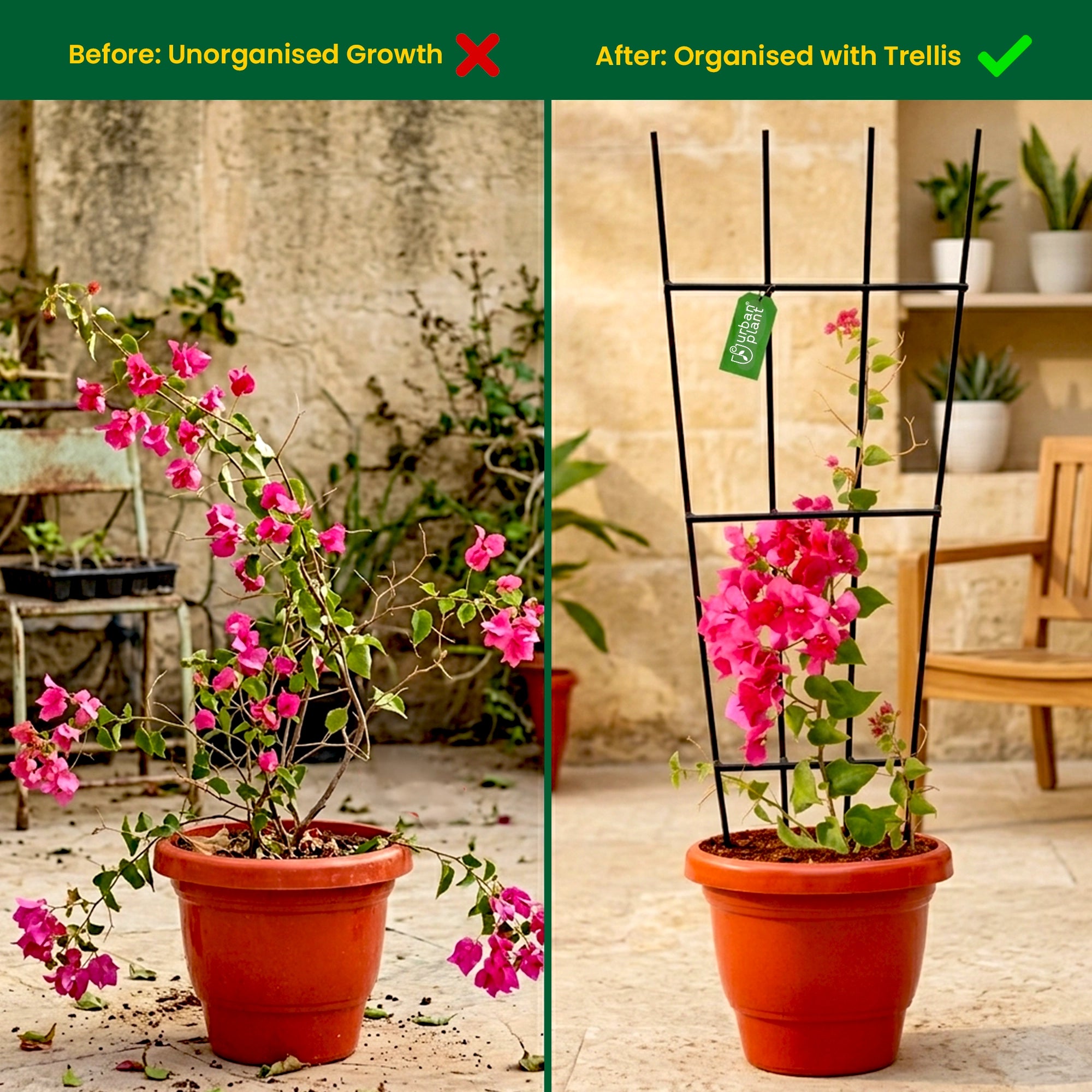 Urban Plant Greenweave Trellis for Climbing Plants Gardening Accessories Black