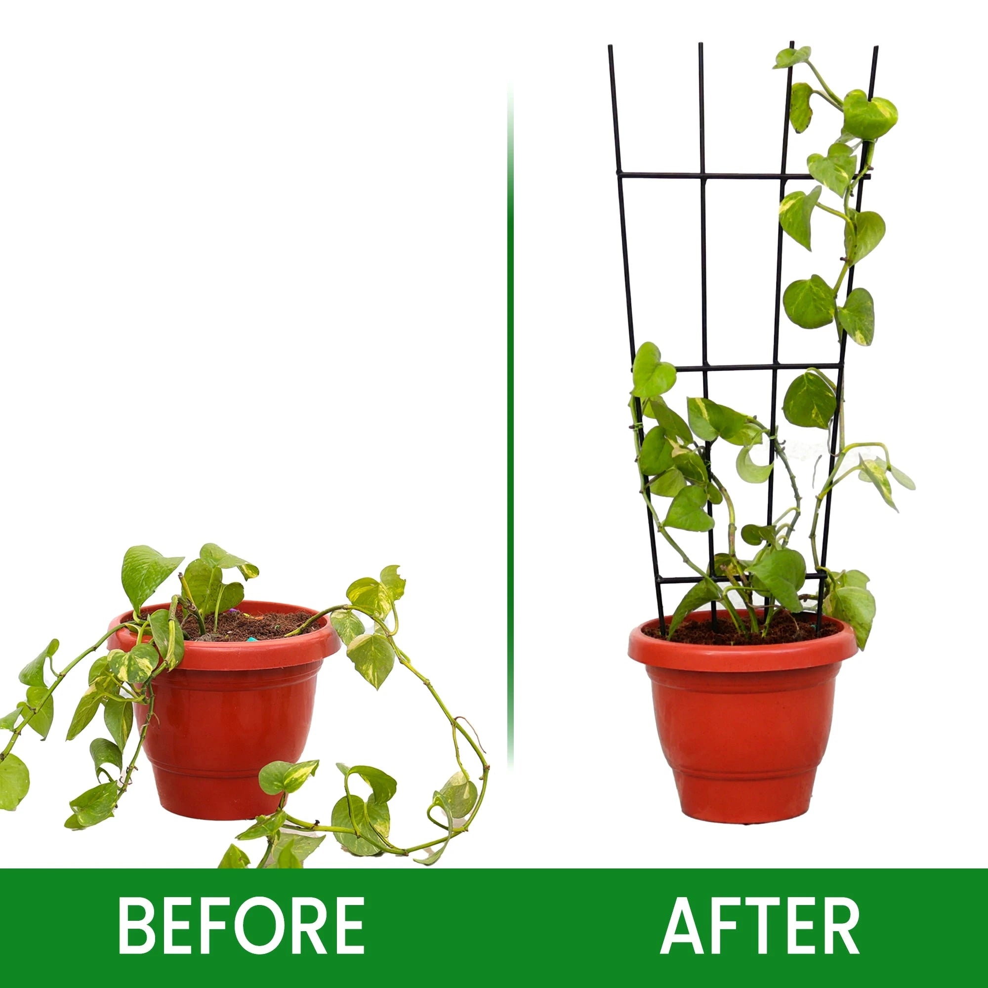 Urban Plant Greenweave Trellis for Climbing Plants Gardening Accessories Urban Plant