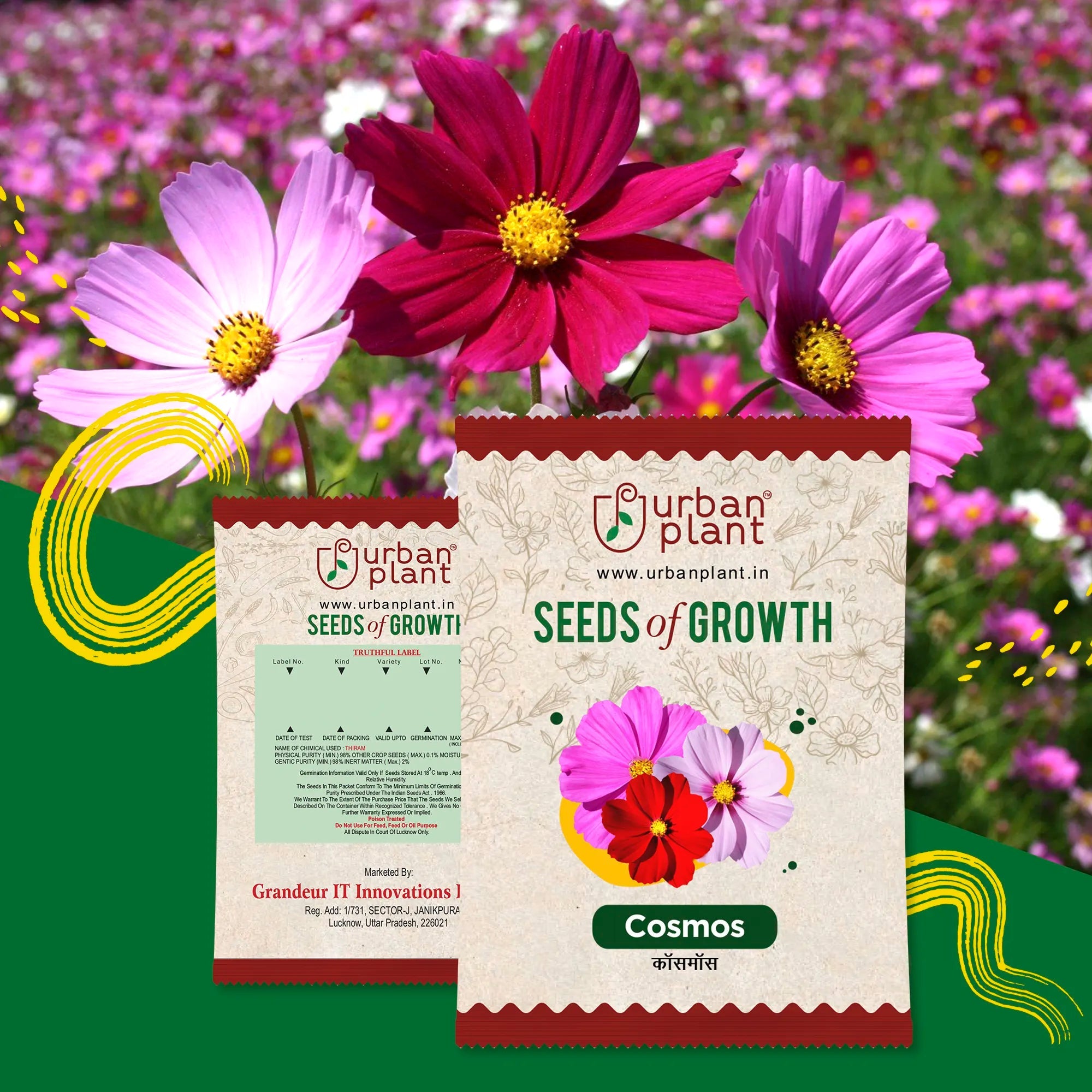 Cosmos Flower Seeds Urban Plant