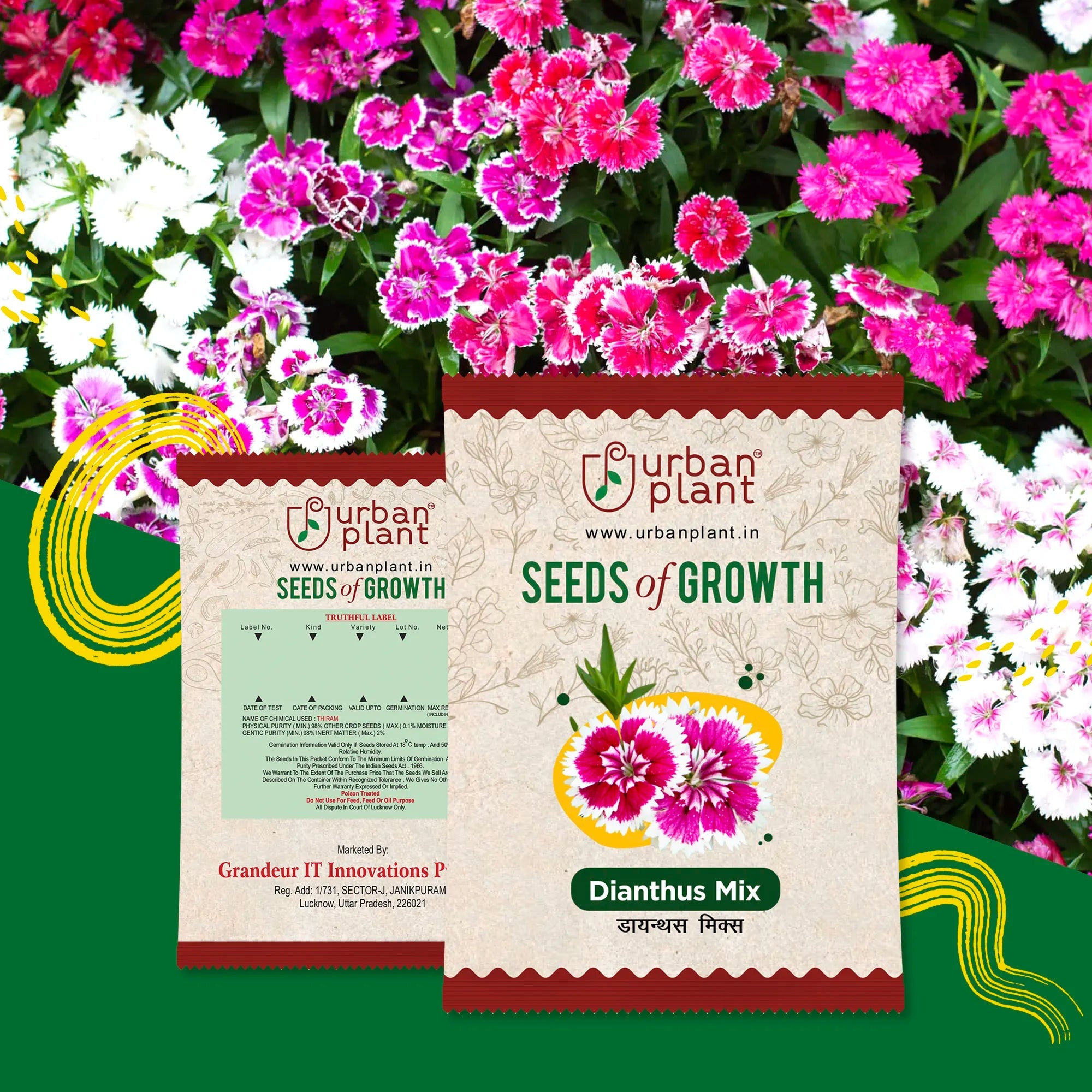 Dianthus Mix Flower Seeds Urban Plant