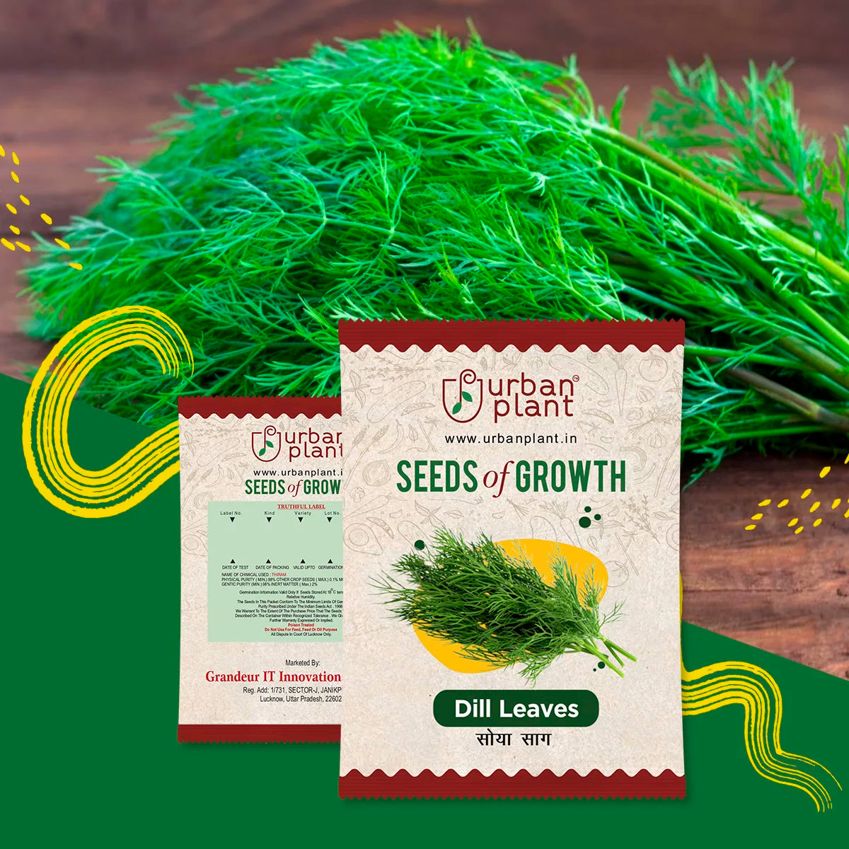 Dill Leaves (Soya Saag) Seeds Vegetable Seed Urban Plant