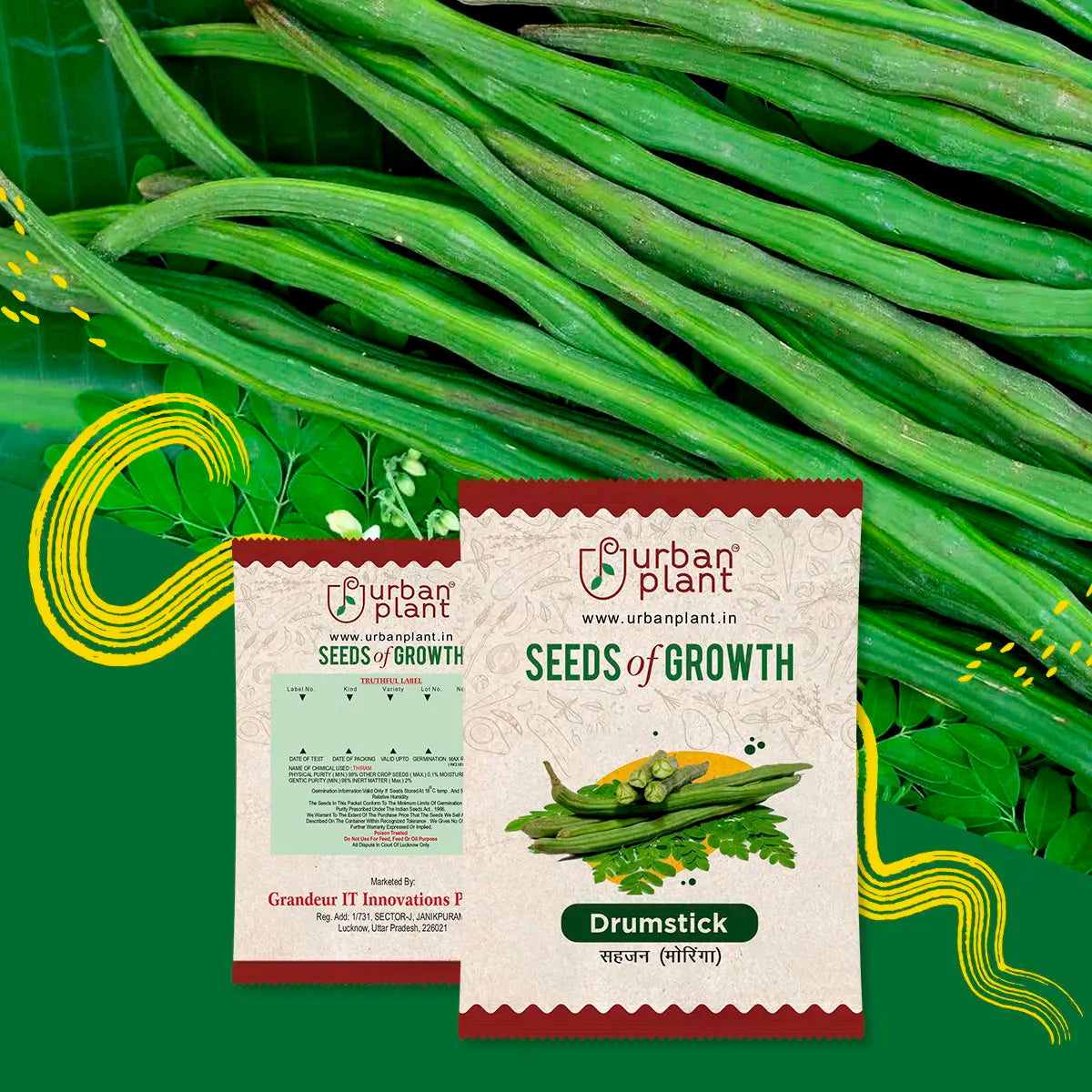 Drumstick (Sahjan Fali) Seeds Vegetable Seed Urban Plant