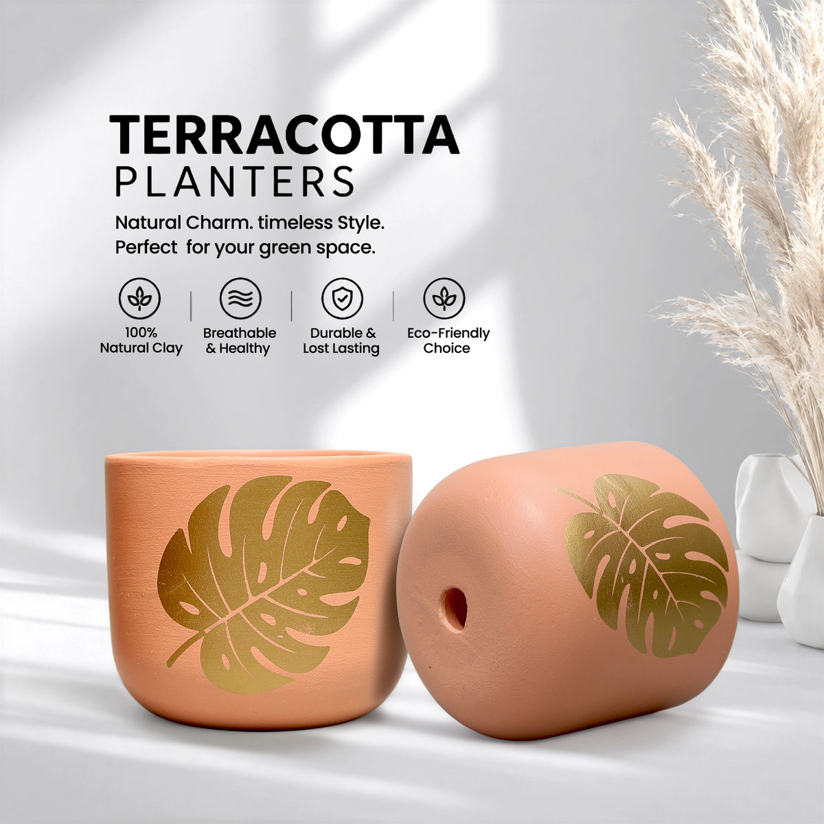Urban Plant Monstera Muse Terracotta Pot Earth Gold