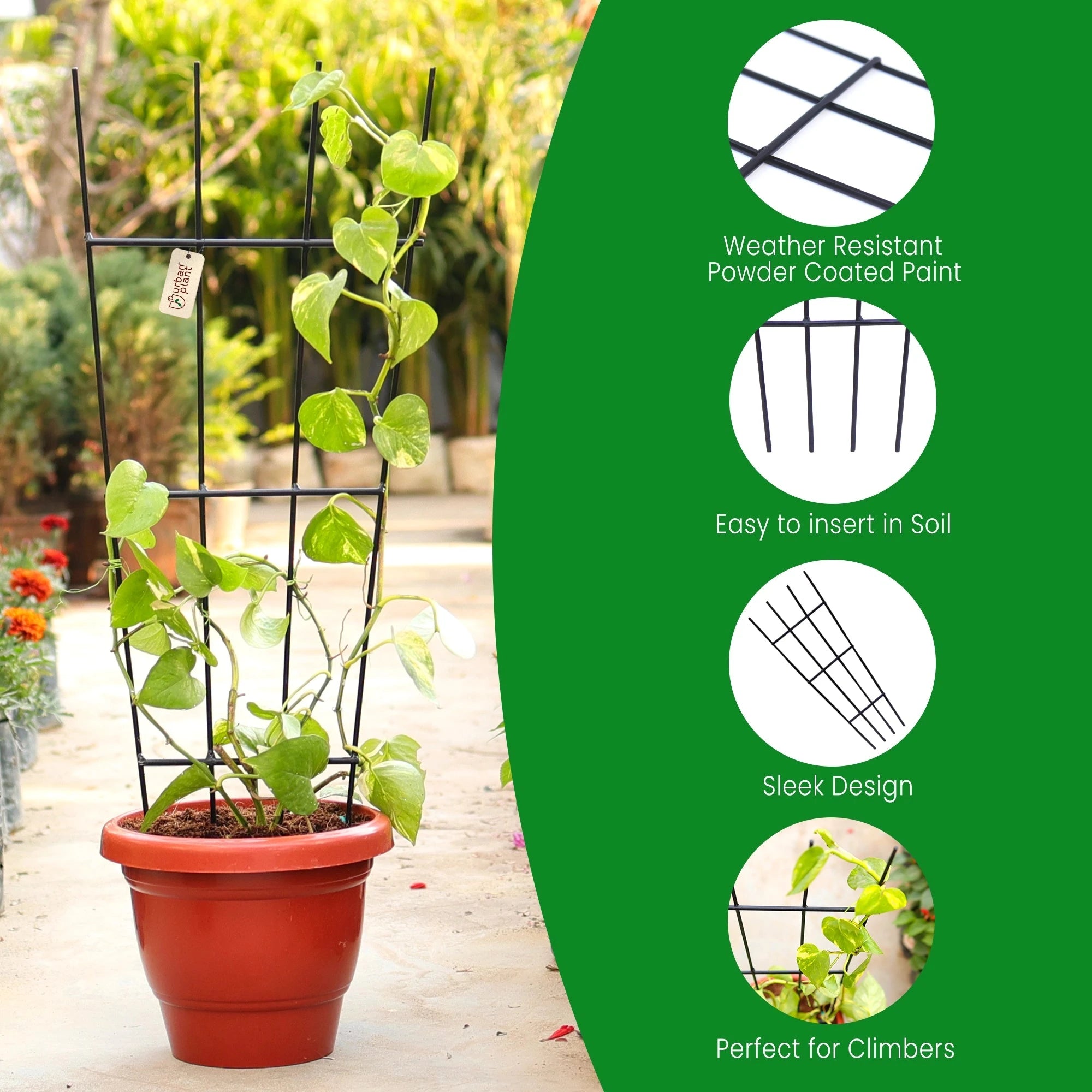 Urban Plant Greenweave Trellis for Climbing Plants Gardening Accessories Urban Plant
