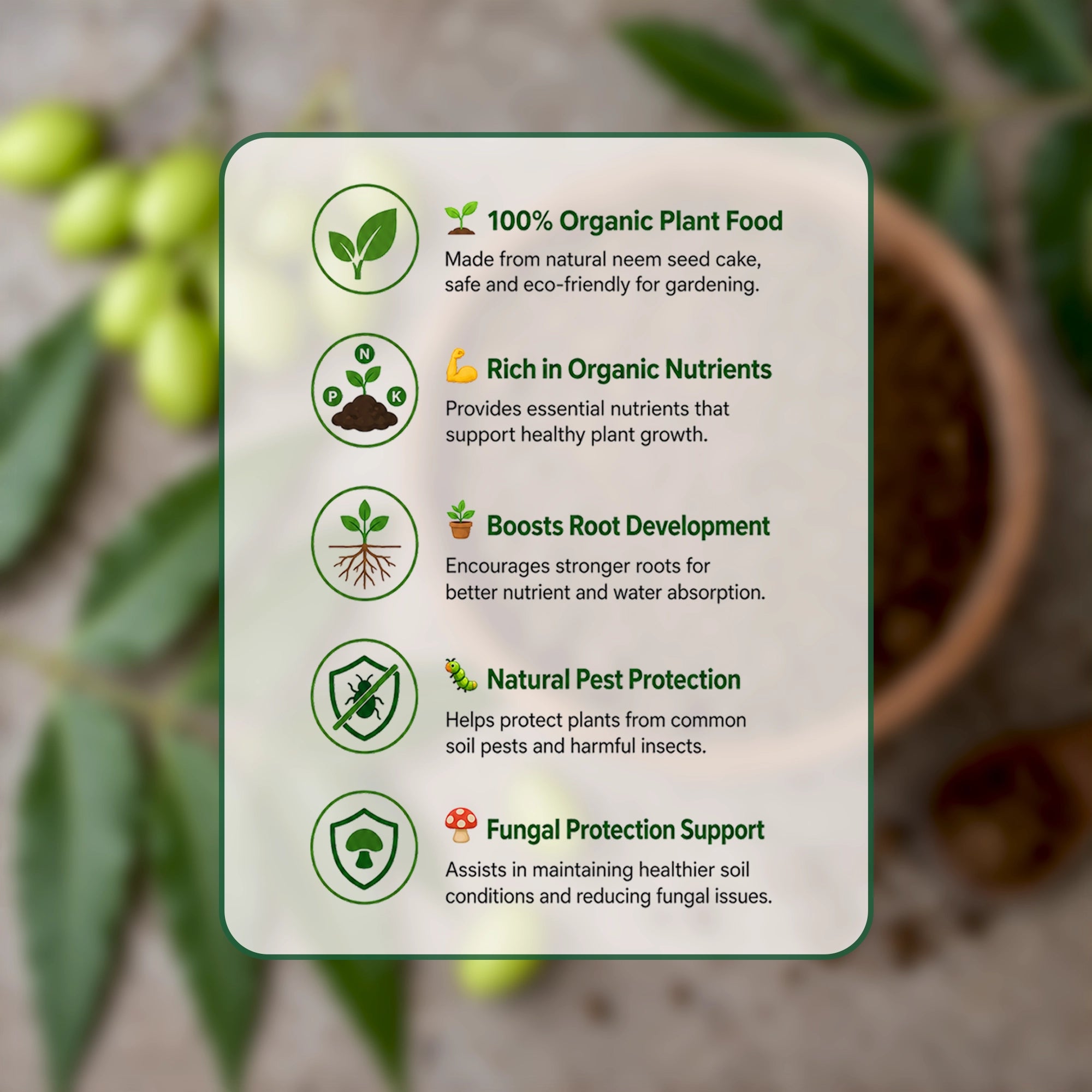 Urban Plant Neem Cake Powder 900 gm