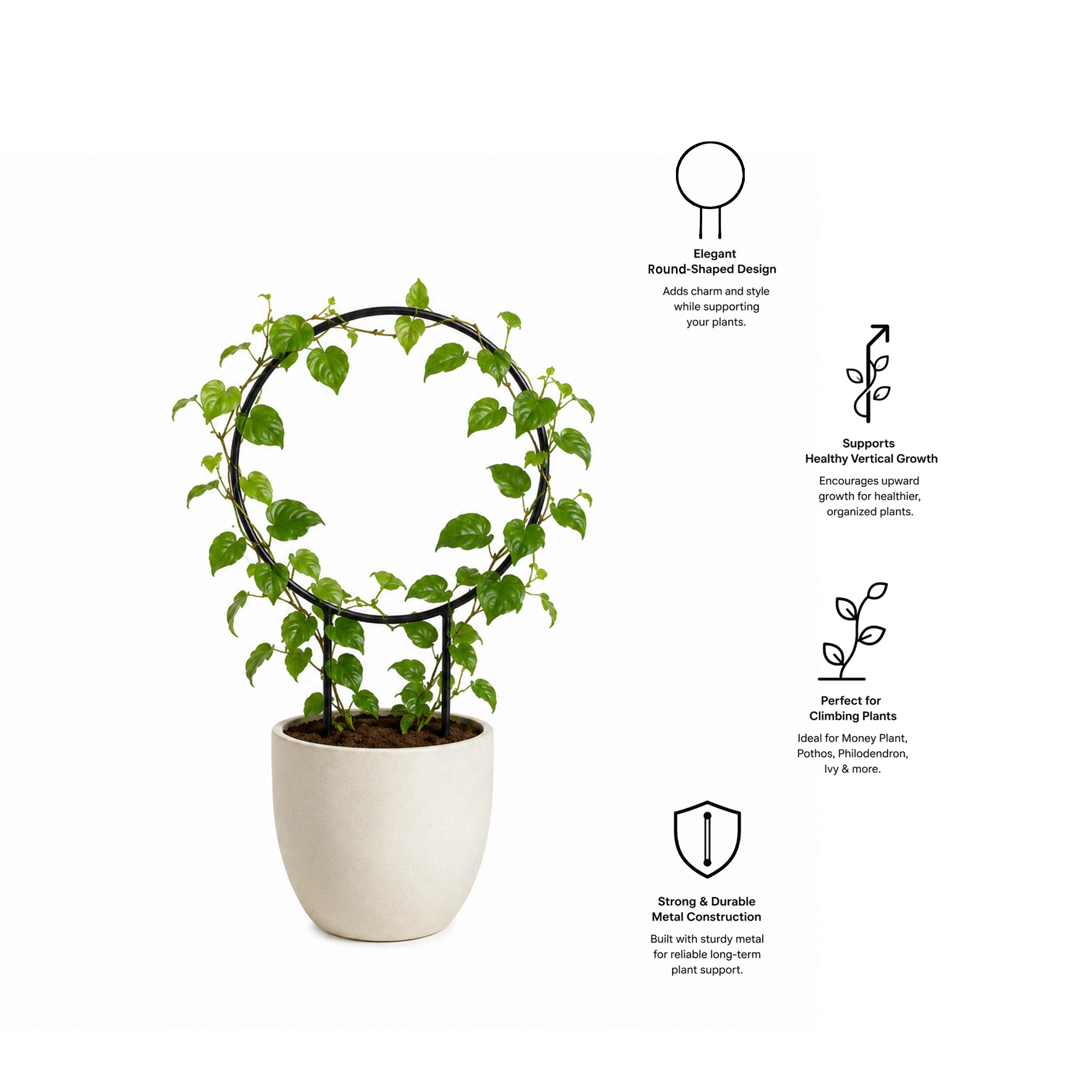 Urban Plant Round Shaped Trellis