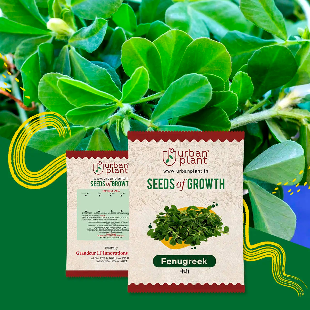Fenugreek (Methi) Seeds Vegetable Seed Urban Plant