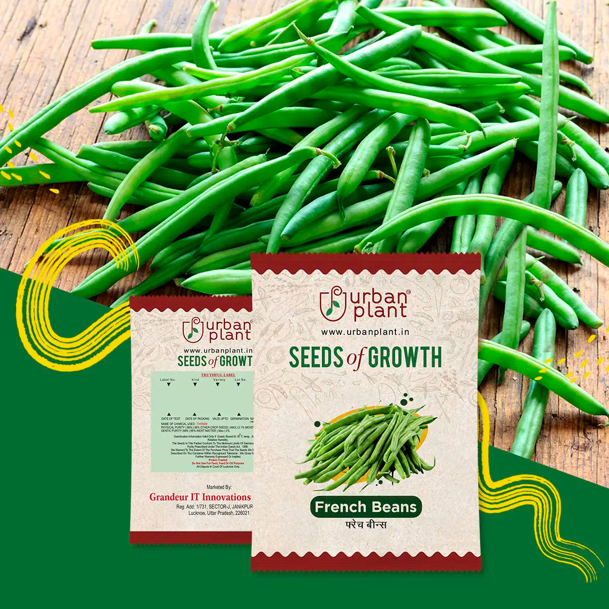 French Bean Seeds Urban Plant