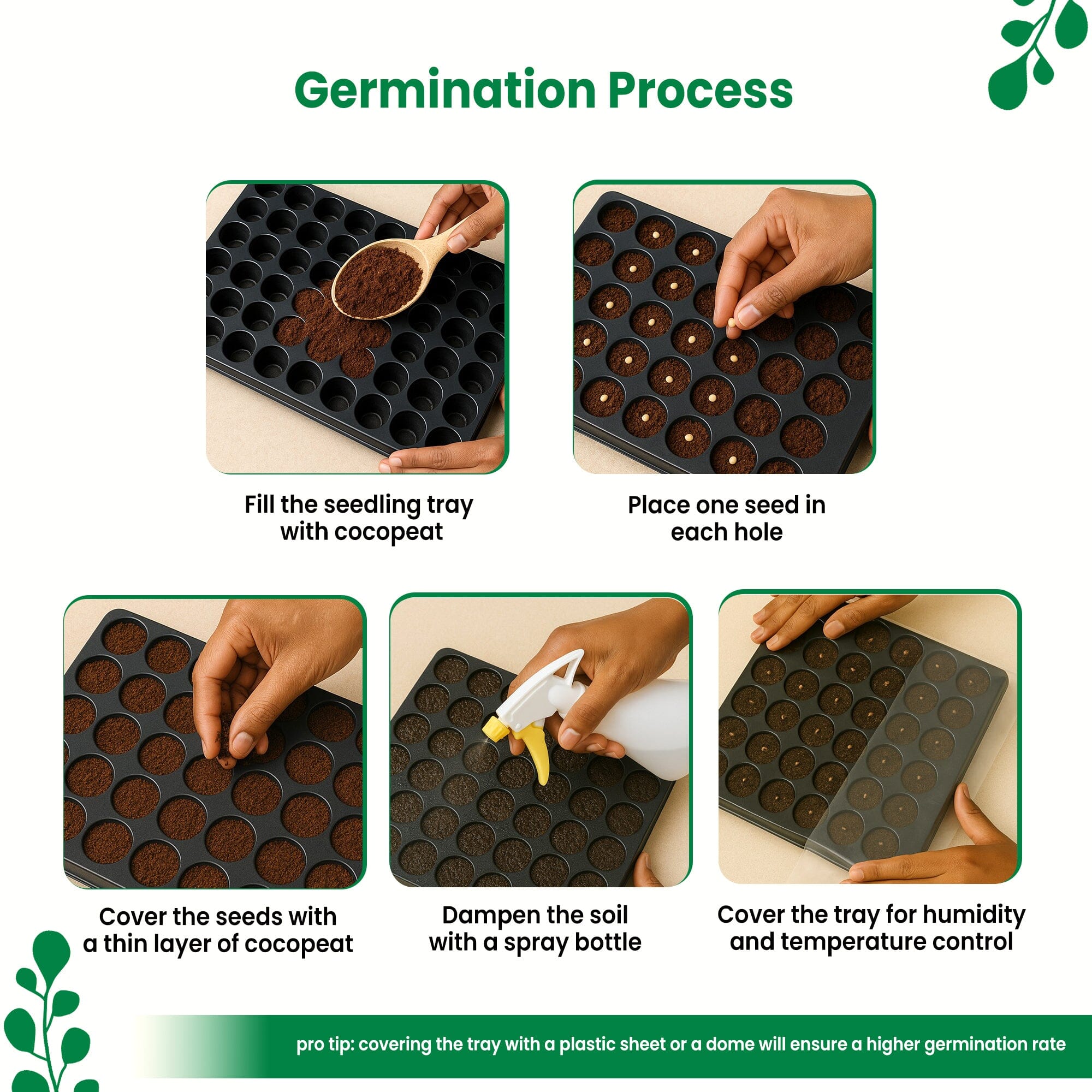 Black Brinjal, Banarasi Brinjal, Okra, Green Chilli Vegetable Seeds - Bundle of 4 Packet Vegetable Seed Urban Plant