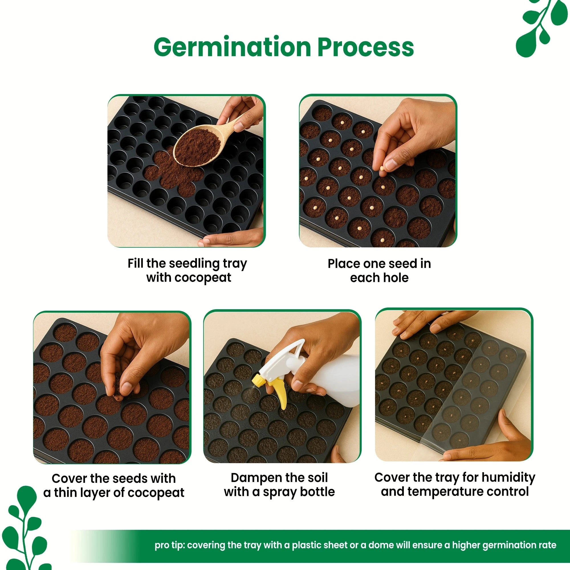 Ridge Gourd, Sponge Gourd, Ash Gourd, Bitter Gourd Vegetable Seeds - Bundle of 4 Packet Vegetable Seed Urban Plant