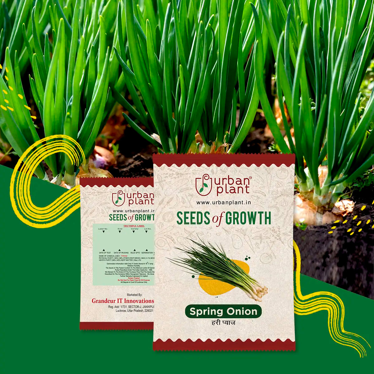Spring Onion Seeds Vegetable Seed Urban Plant 