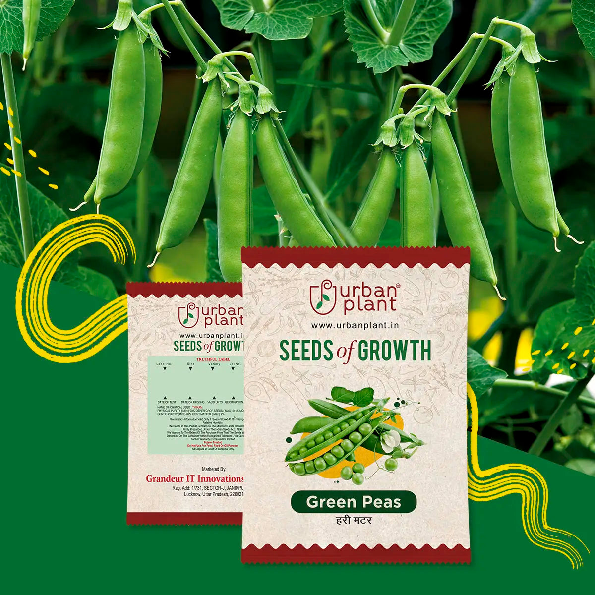 Buy Green Peas Seeds OnlineUrban Plant