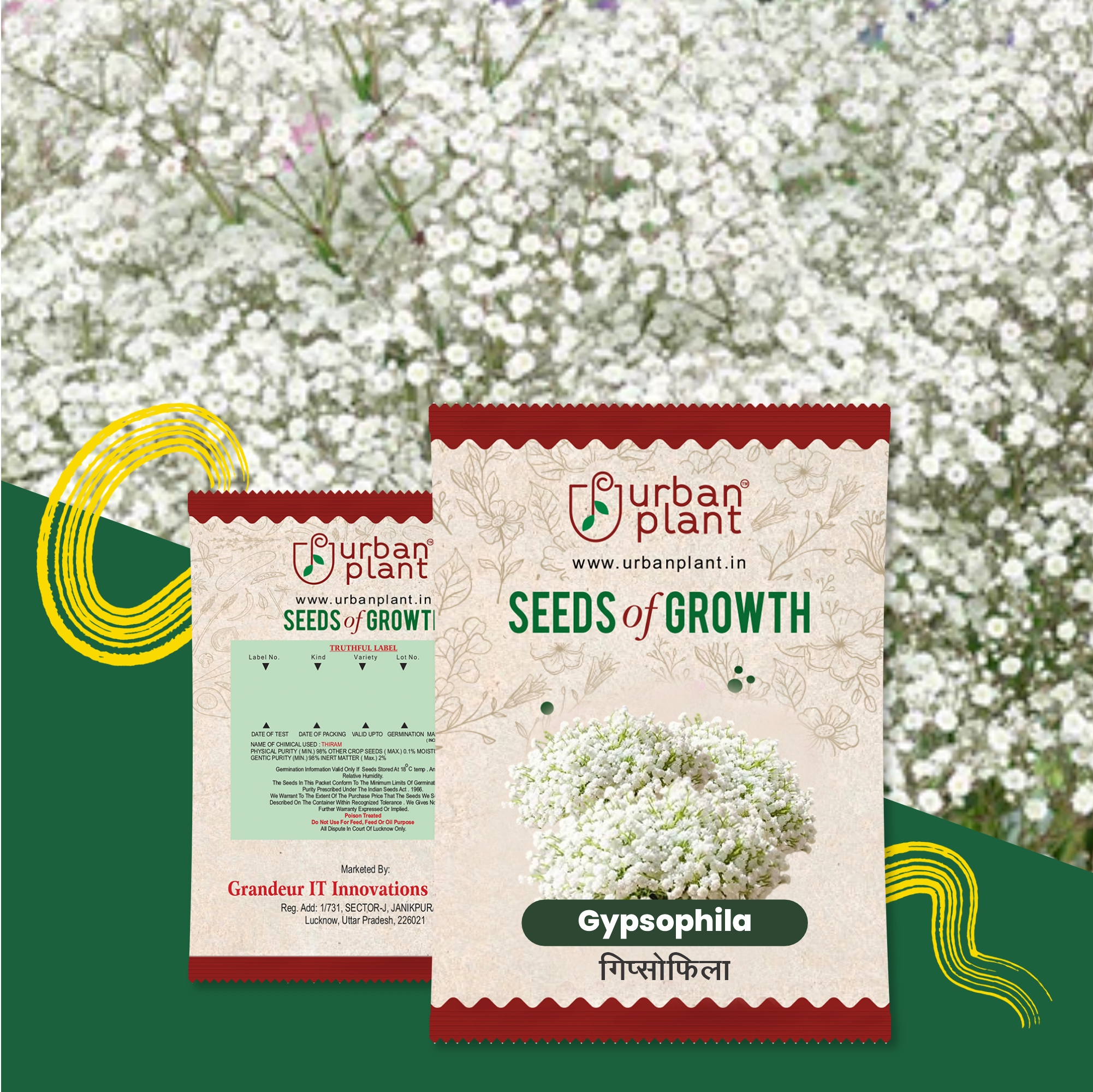 Gypsophila Flower Seeds Flower Seed Urban Plant