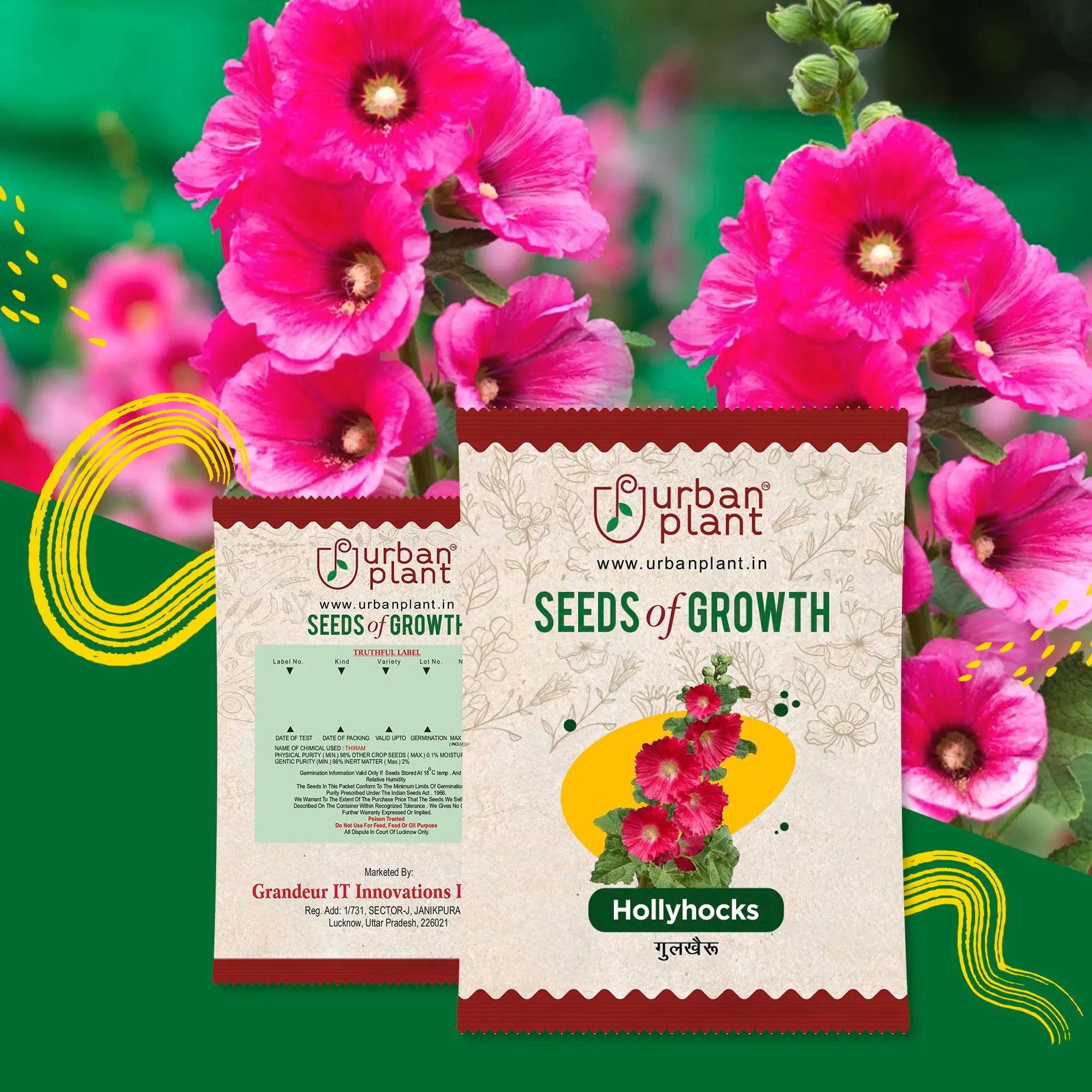 Hollyhuck Flower Seeds Urban Plant