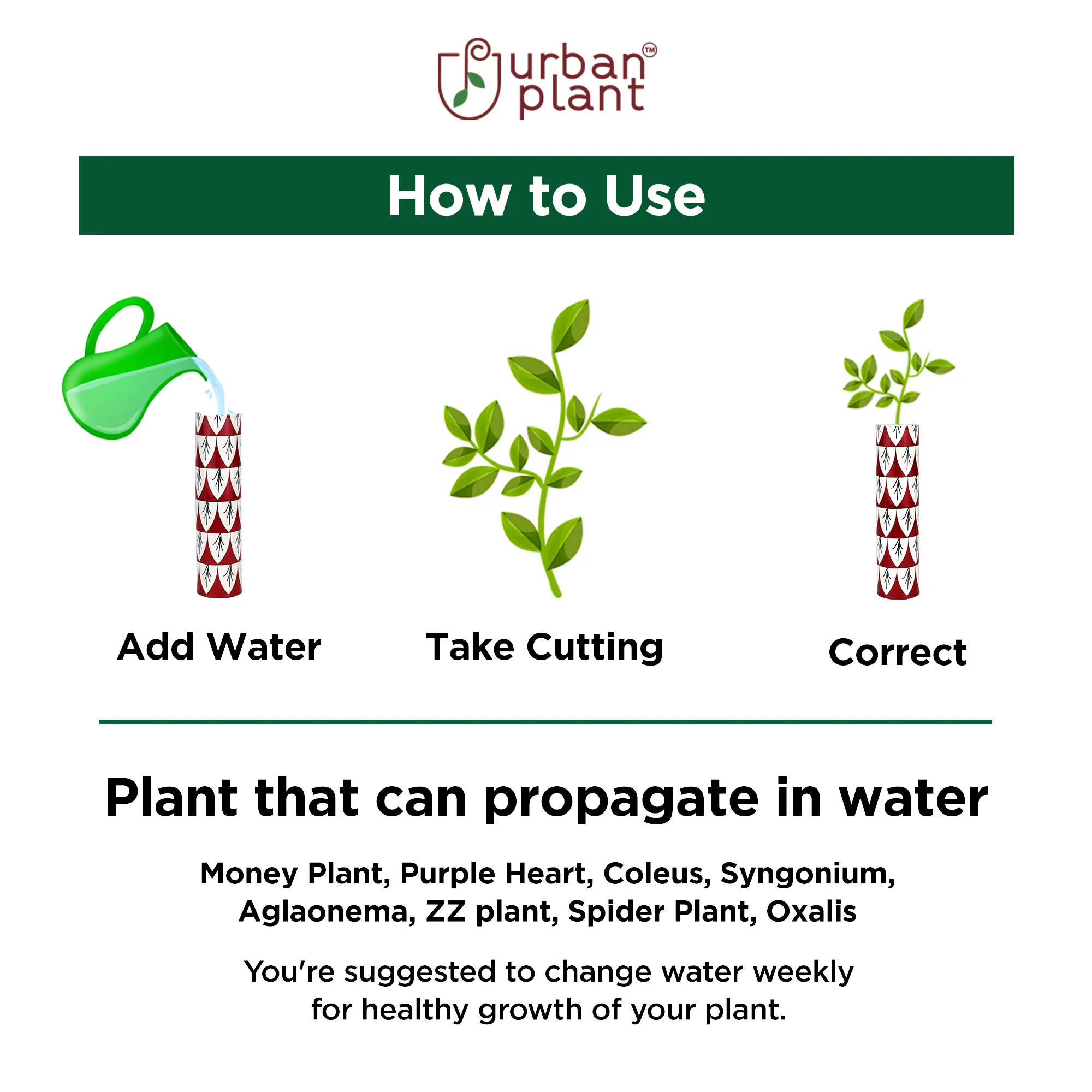 Decorative Colorful Magnetic Planters for Fridge Online (Set of 2) Magnetic Planter Urban Plant