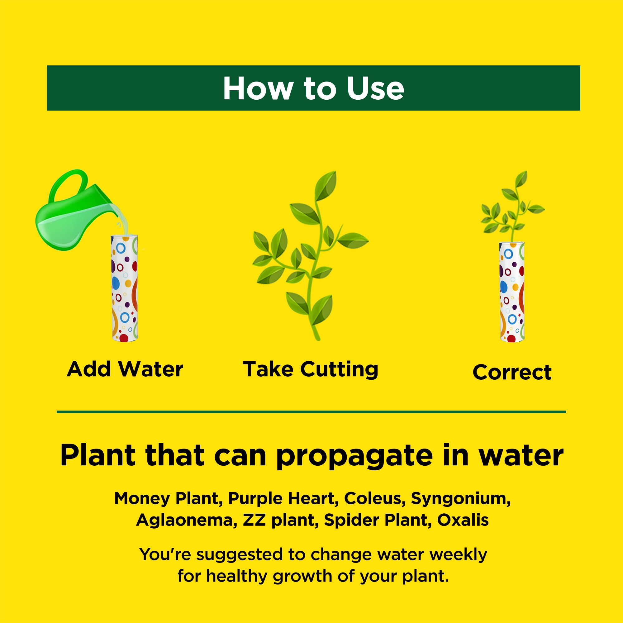 Urban Plant Magnetix Planters Magnet (How to use)