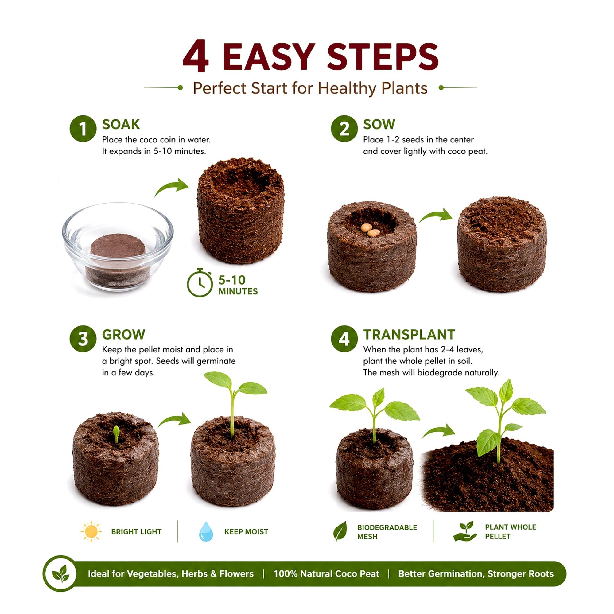 Cocopeat Seedling Coin - (with Plug): how to use