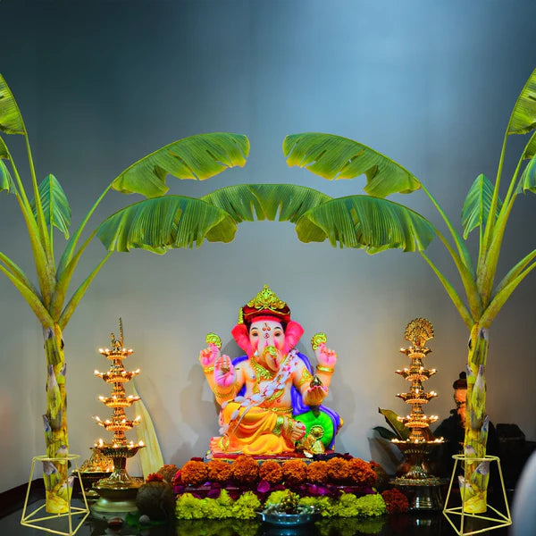 Urban Plant Banana Stand/Holder for Pooja Urban Plant