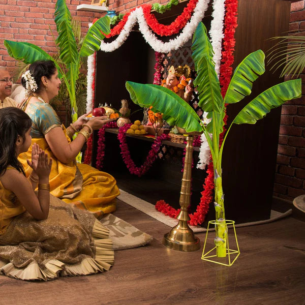 Urban Plant Banana Stand/Holder for Pooja Urban Plant