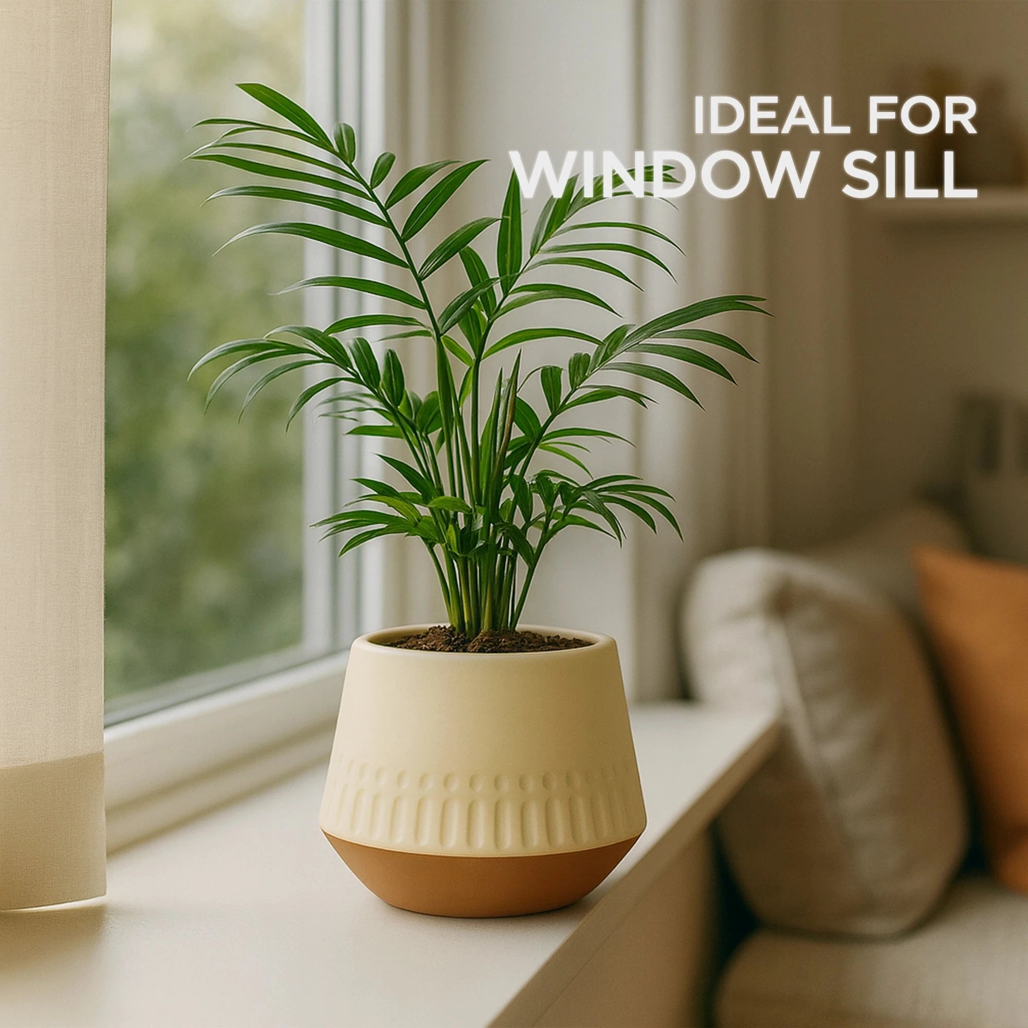 Majesty Terracotta Pot Urban Plant