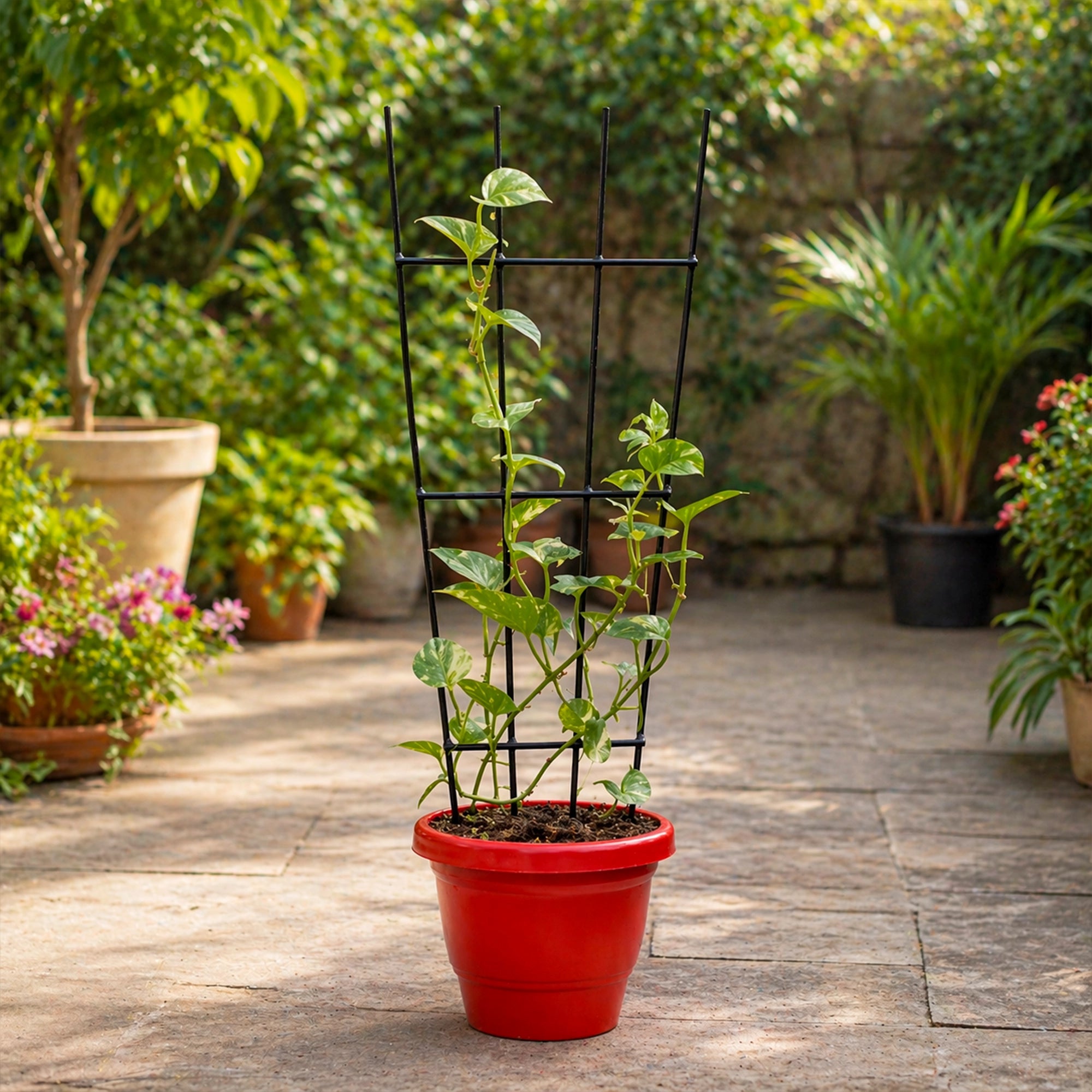 Urban Plant Greenweave Trellis for Climbing Plants Gardening Accessories