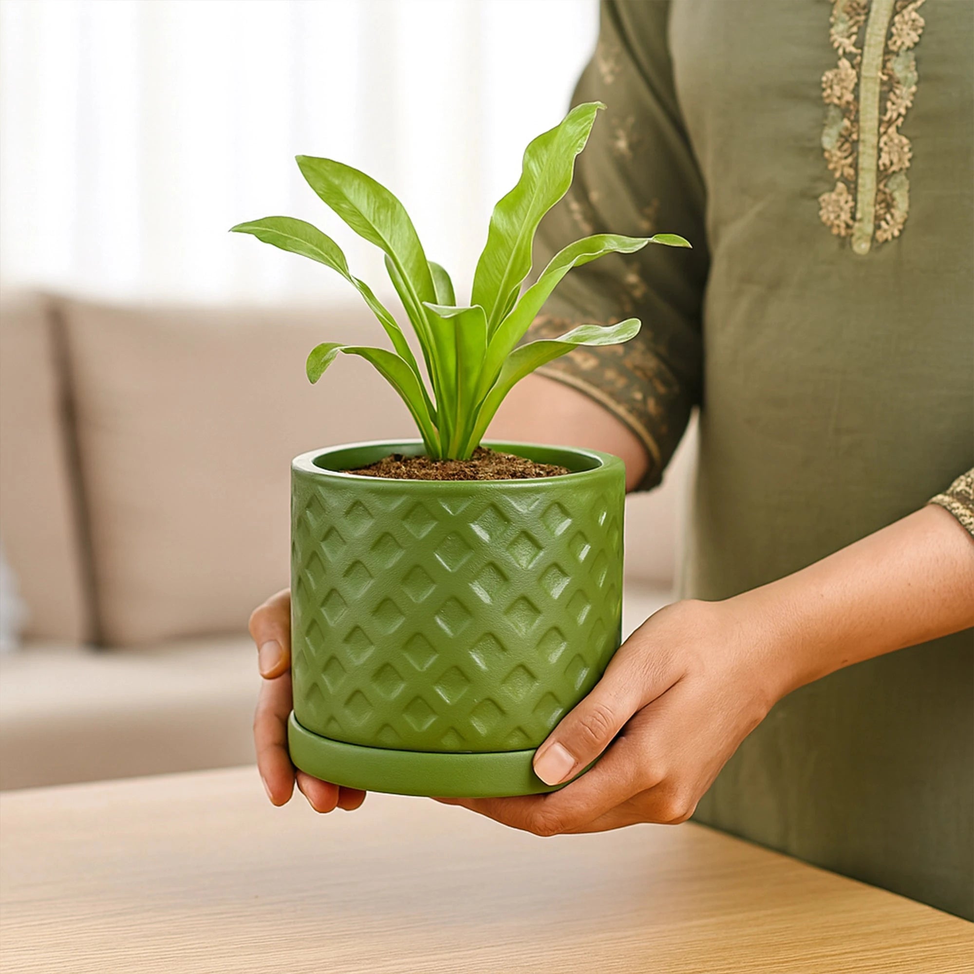 Fresh Breath Terracotta Pot with Saucer Urban Plant