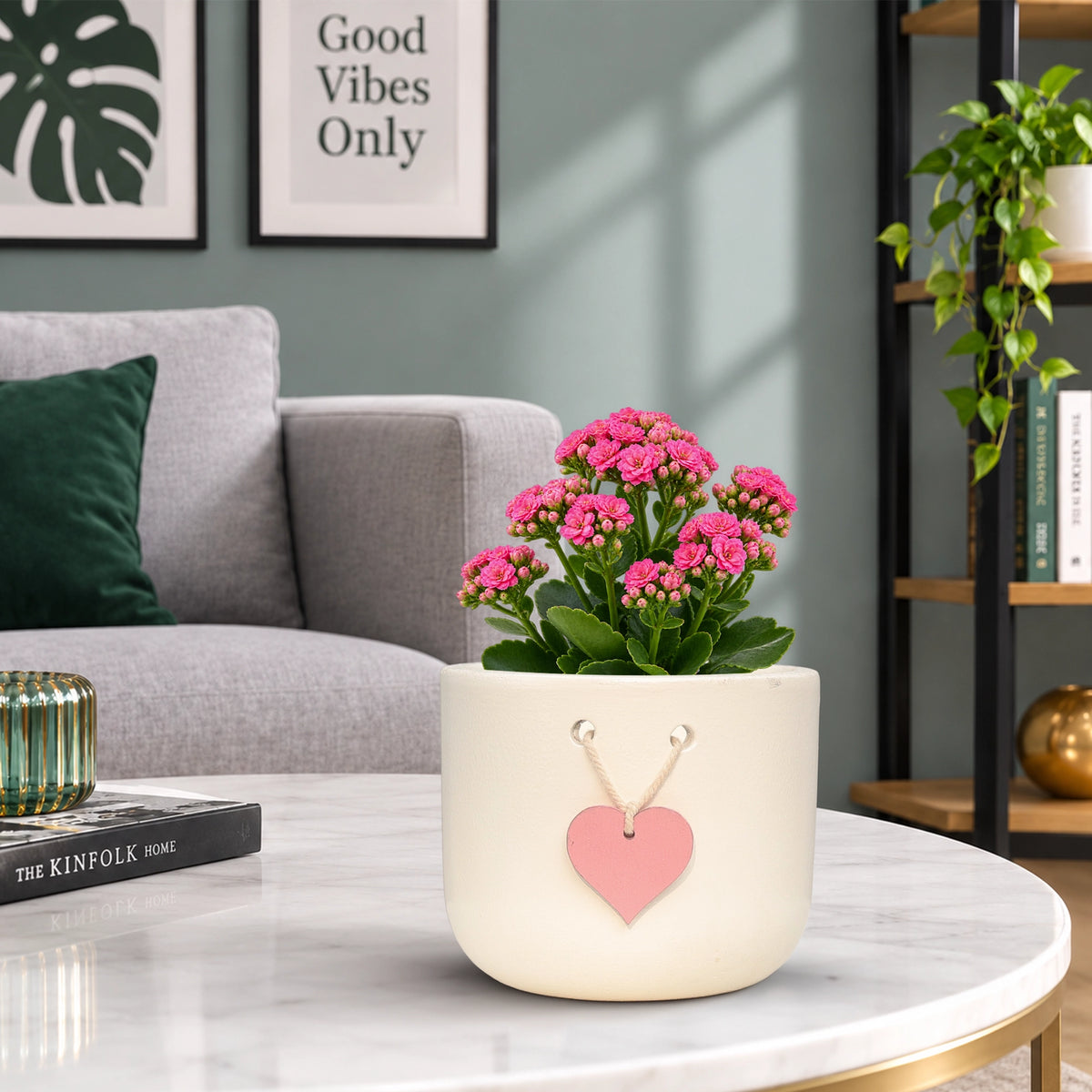 Urban Plant Cherish Terracotta Pot with Heart Tag