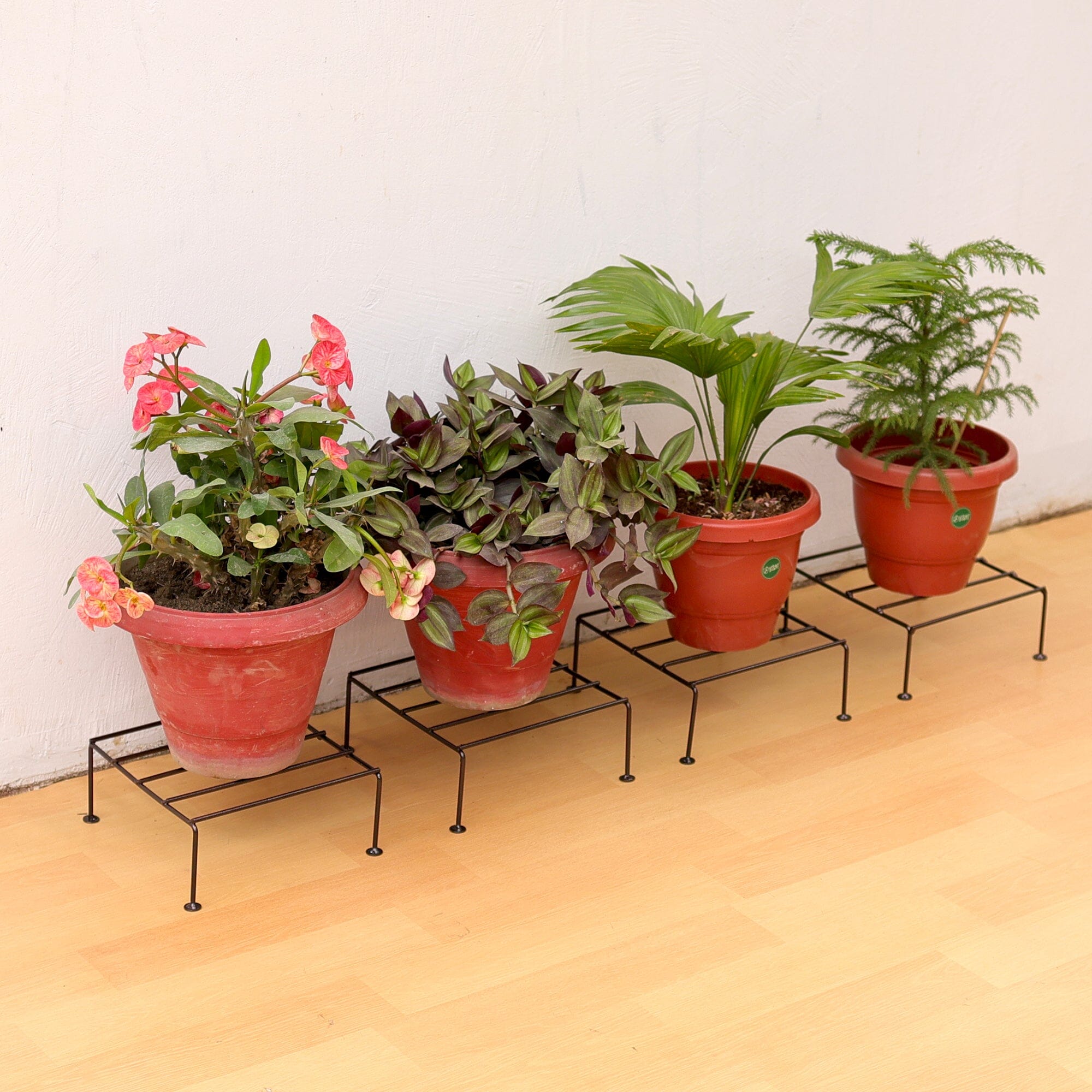 Urban Plant Titanium Stand (Set of 4 - Brown) Metal Stand Urban Plant