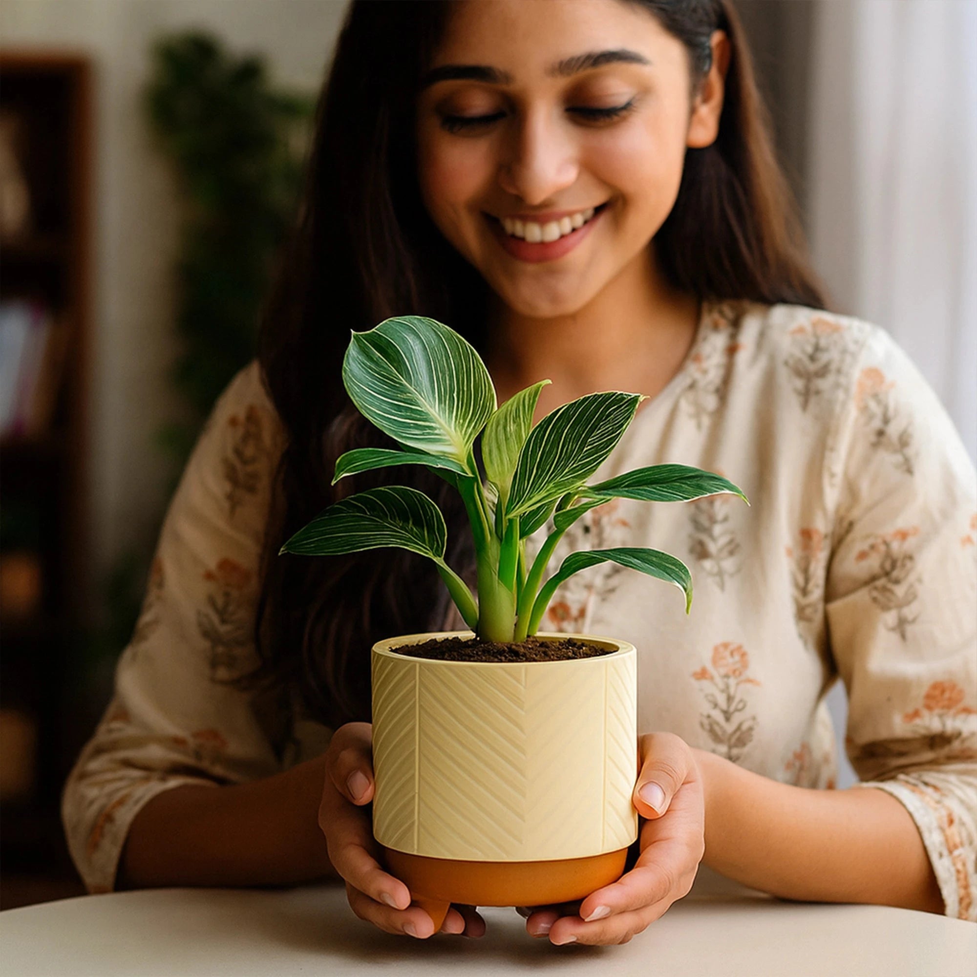 Emerald Terracotta Pot Urban Plant