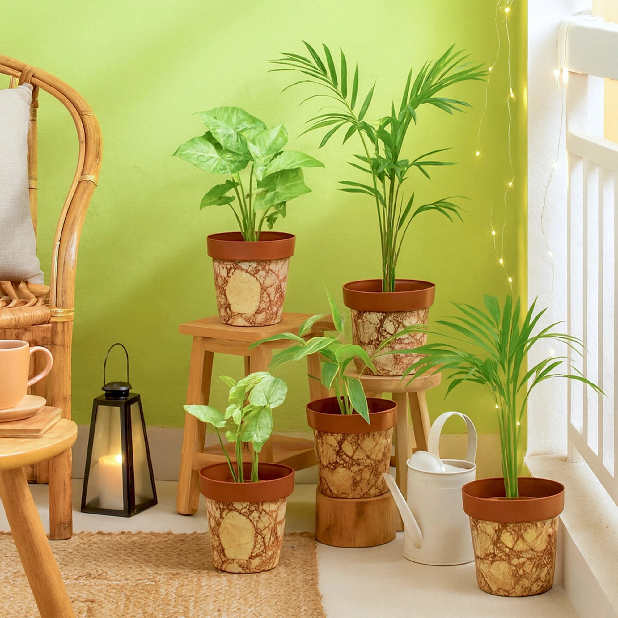 Colourpop Pots - (Set of 5) Plastic Pot Urban Plant