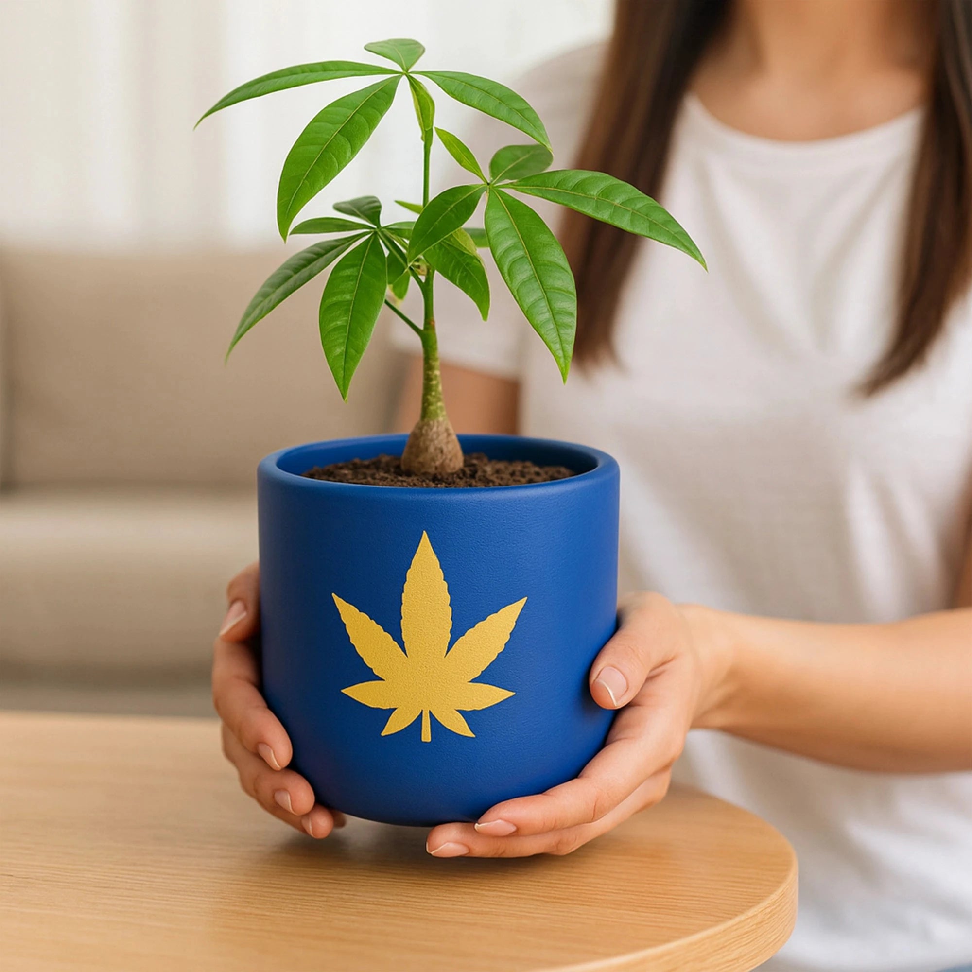 Bluesphere Terracotta Pot Terracotta Pot Urban Plant