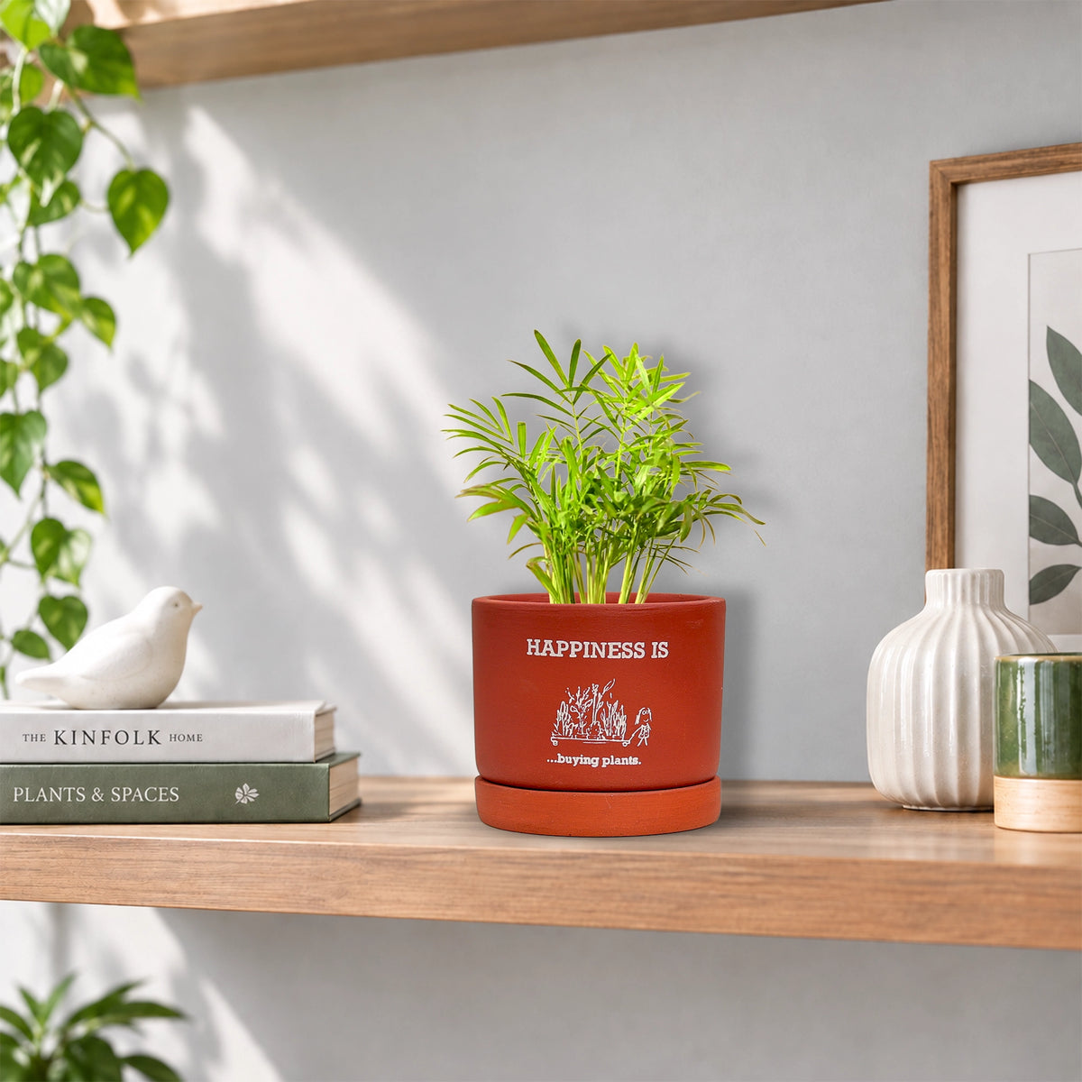 Joy Root Terracotta Pot with Saucer Pattern: Happy Plant