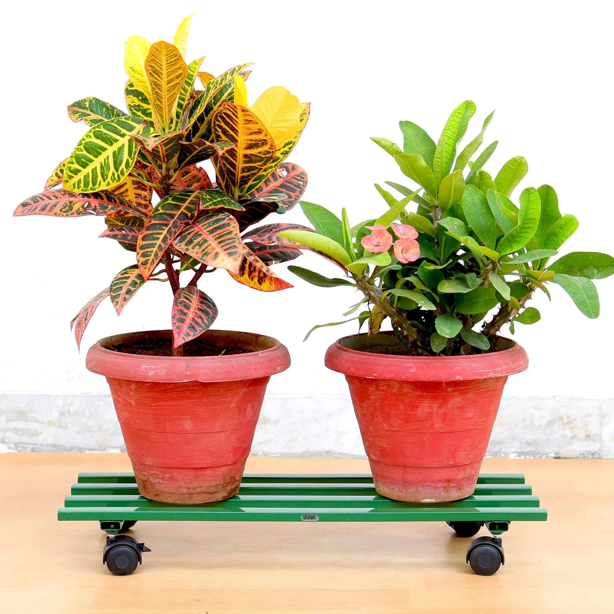 Urban Plant Rectangular Caddy with Wheel Rolling Plant Stand (Green - Set of 2) Metal Stand Urban Plant