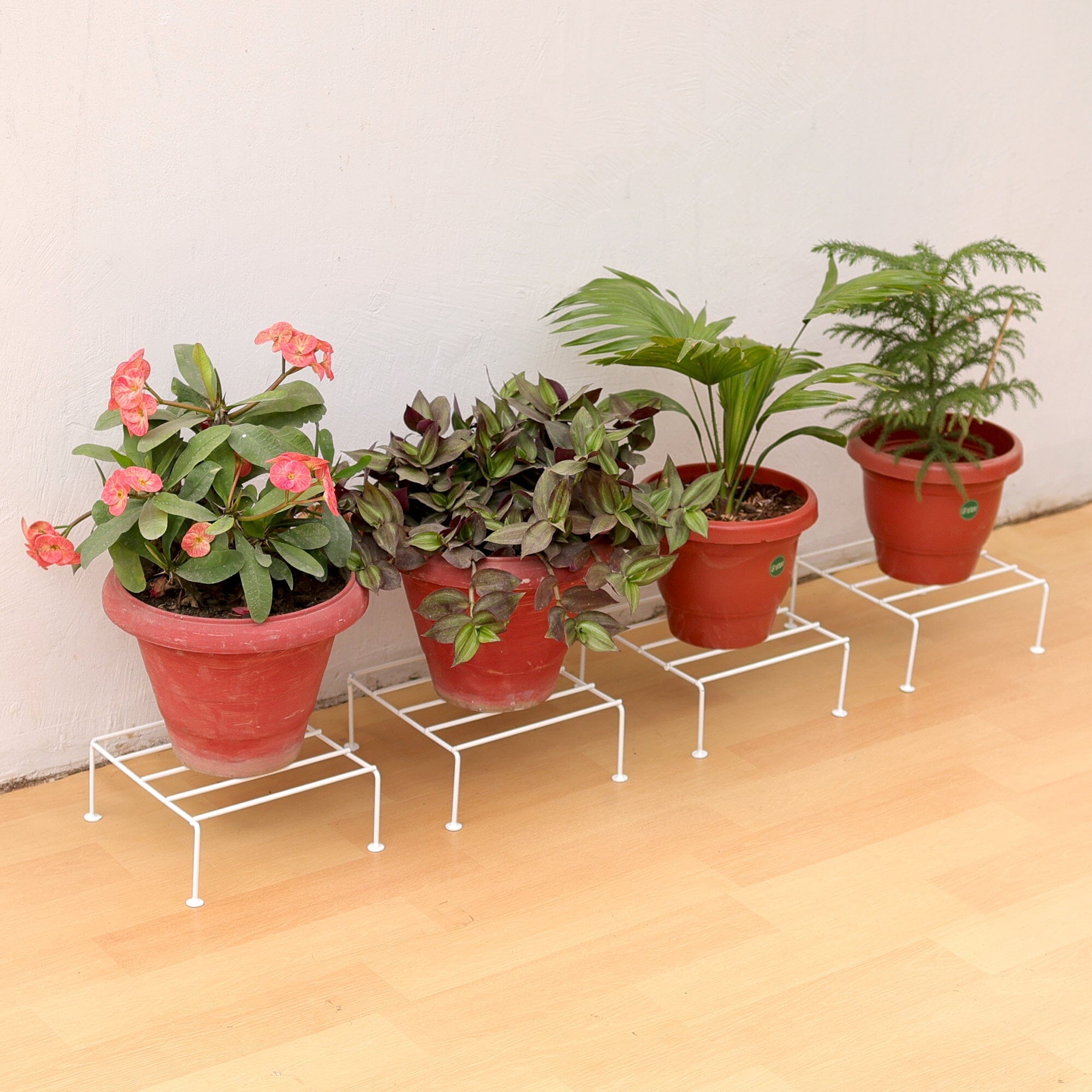 Urban Plant Titanium Stand (Set of 6 - White) Metal Stand Urban Plant