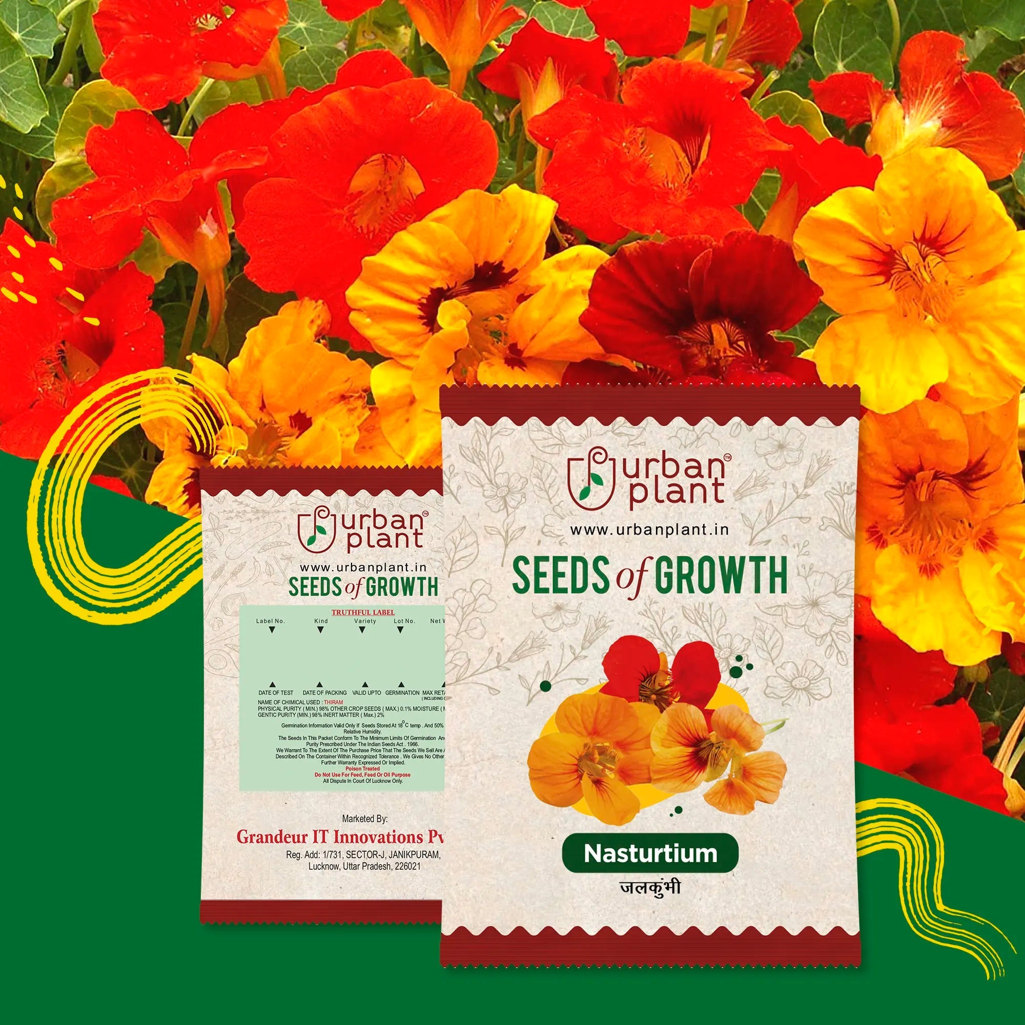 Nasturtium Flower Seeds Urban Plant 