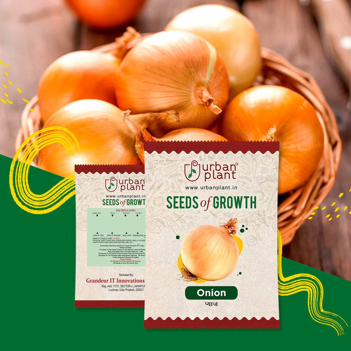 Buy Onion Seeds OnlineUrban Plant